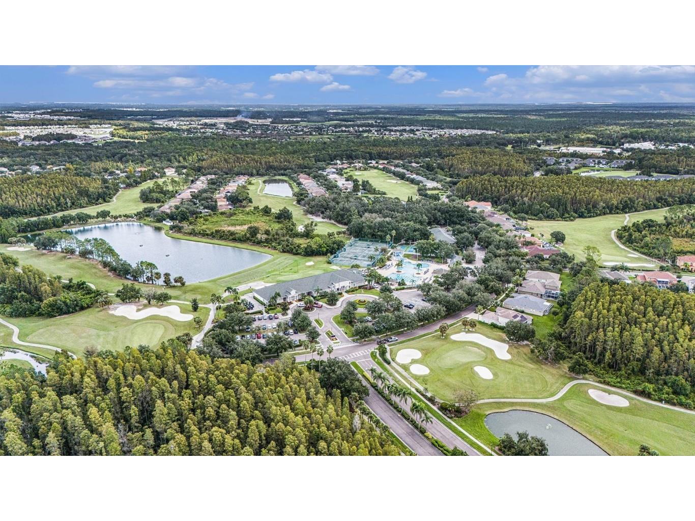 18114 Paradise Point Drive Tampa FL 33647 TB8436563 image35