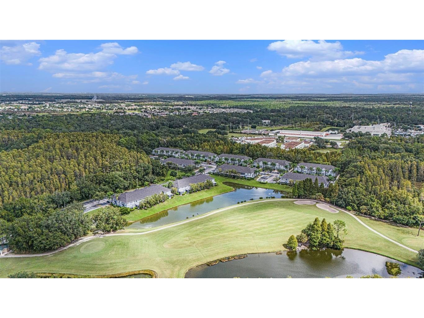 18114 Paradise Point Drive Tampa FL 33647 TB8436563 image36