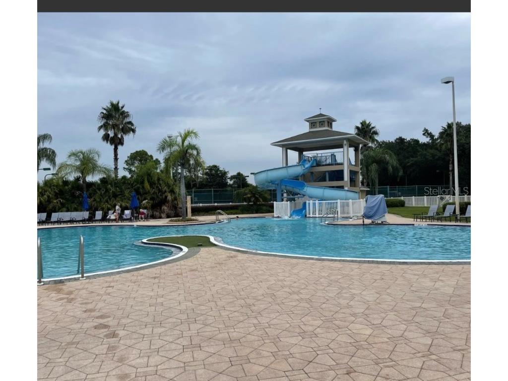 18114 Paradise Point Drive Tampa FL 33647 TB8436563 image37