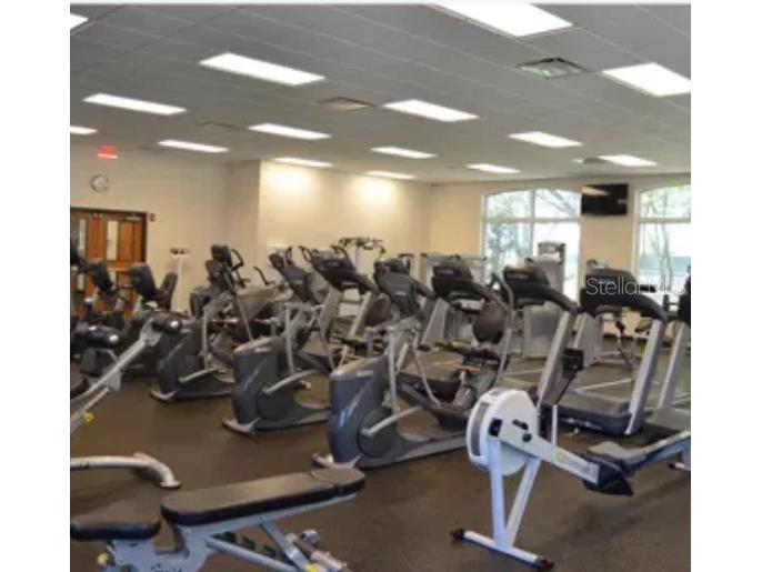 18114 Paradise Point Drive Tampa FL 33647 TB8436563 image38