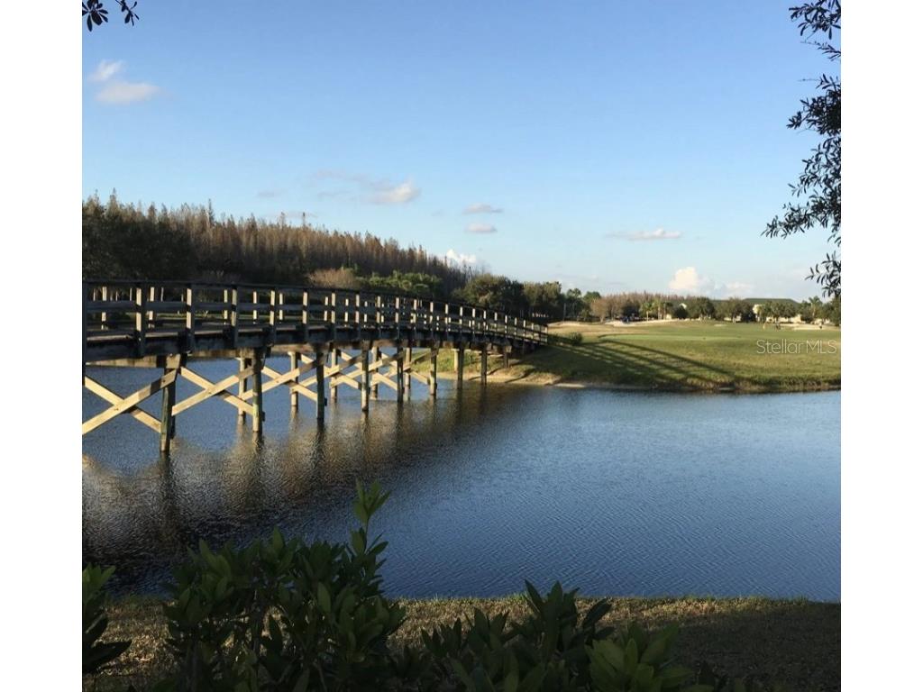 18114 Paradise Point Drive Tampa FL 33647 TB8436563 image39