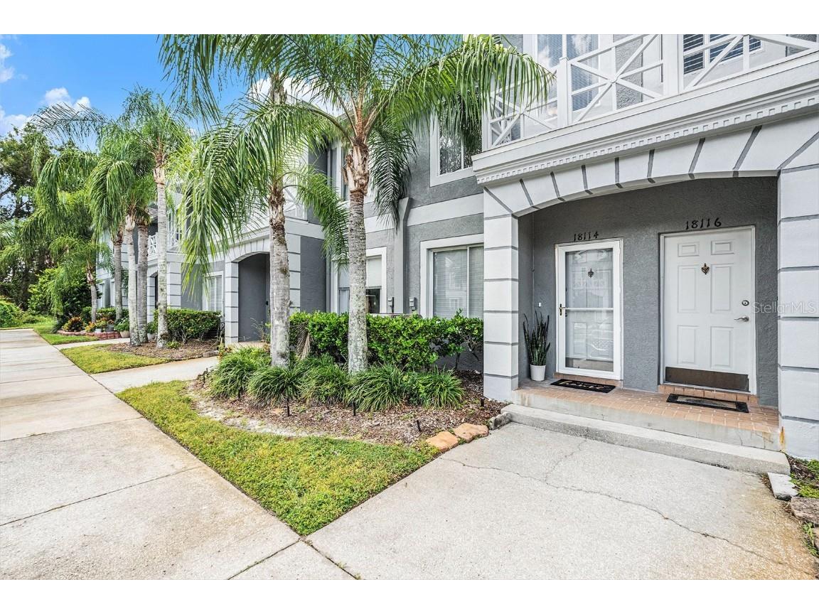 18114 Paradise Point Drive Tampa FL 33647 TB8436563 image4