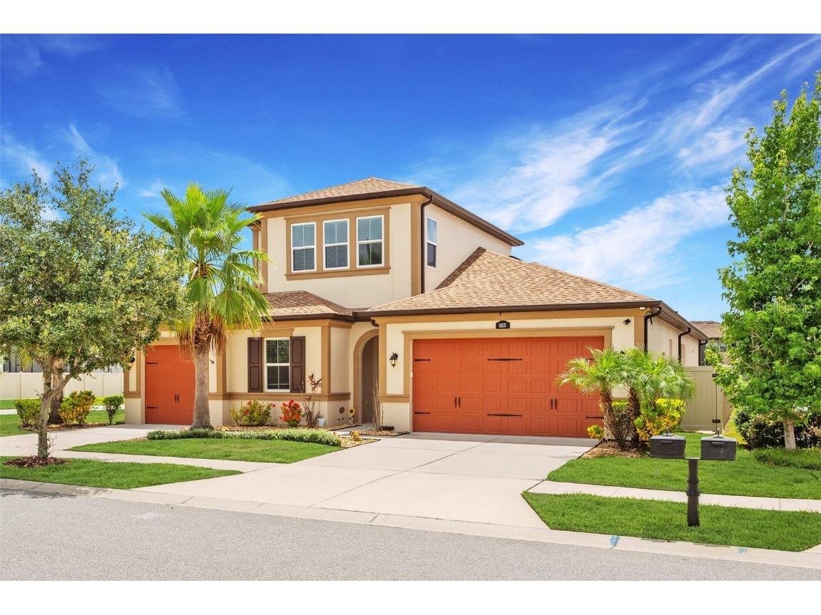 18115 Leafmore Street Lutz FL 33548 T3536374 image1