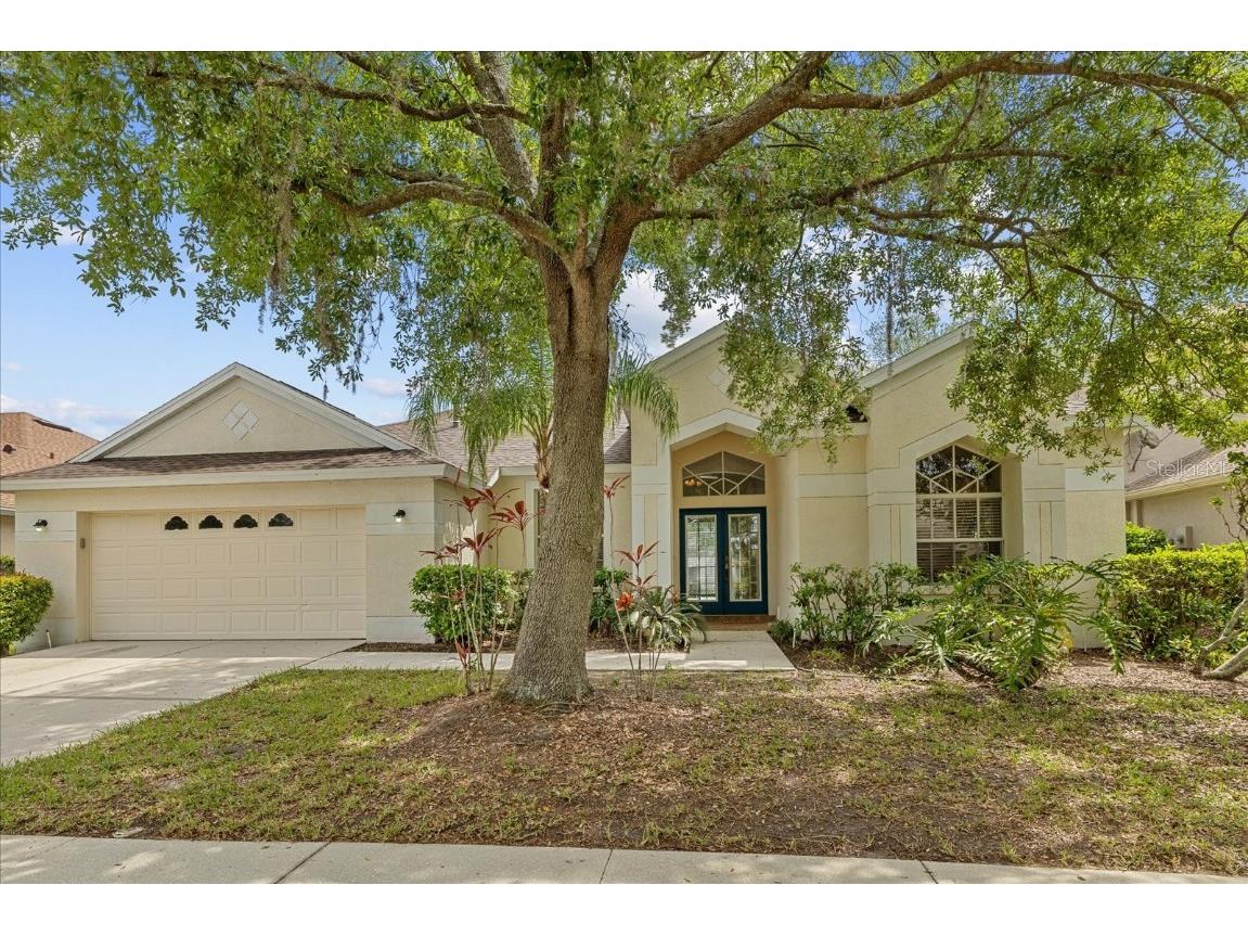 18115 Pheasant Walk Drive Tampa FL 33647 T3515574 image1
