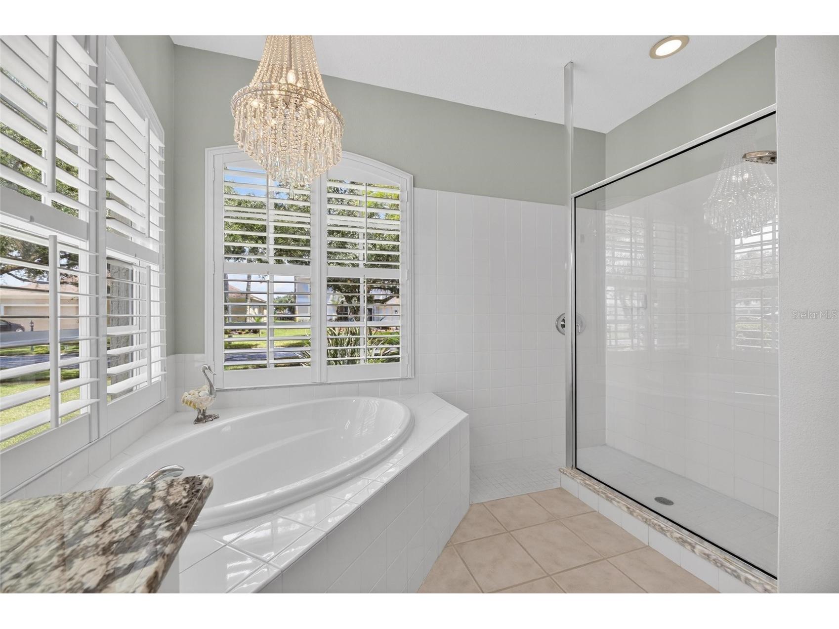 18116 Kara Ct Tampa FL 33647 TB8514112 image38