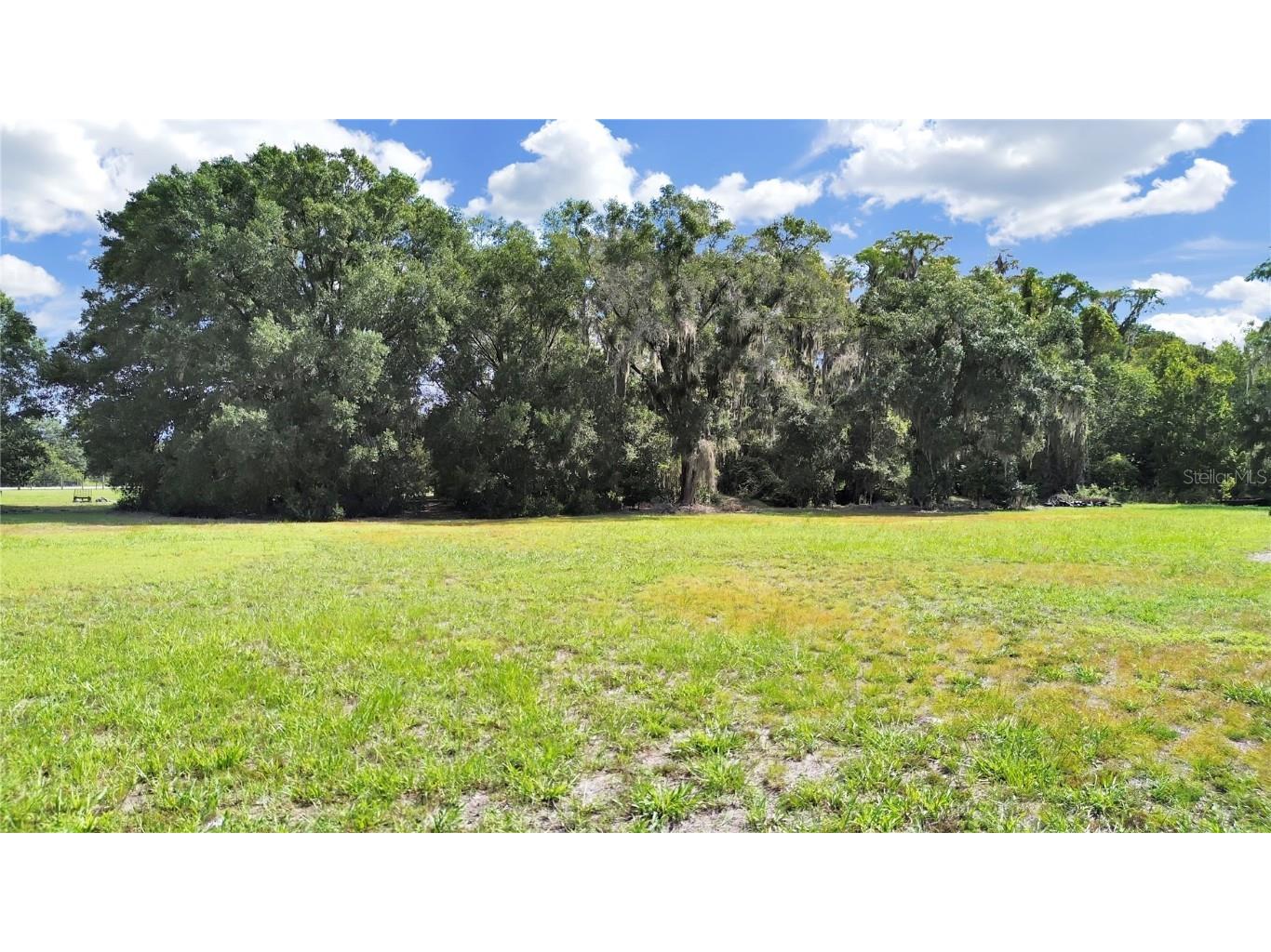 18117 Boy Scout Road Odessa FL 33556 TB8345360 image14
