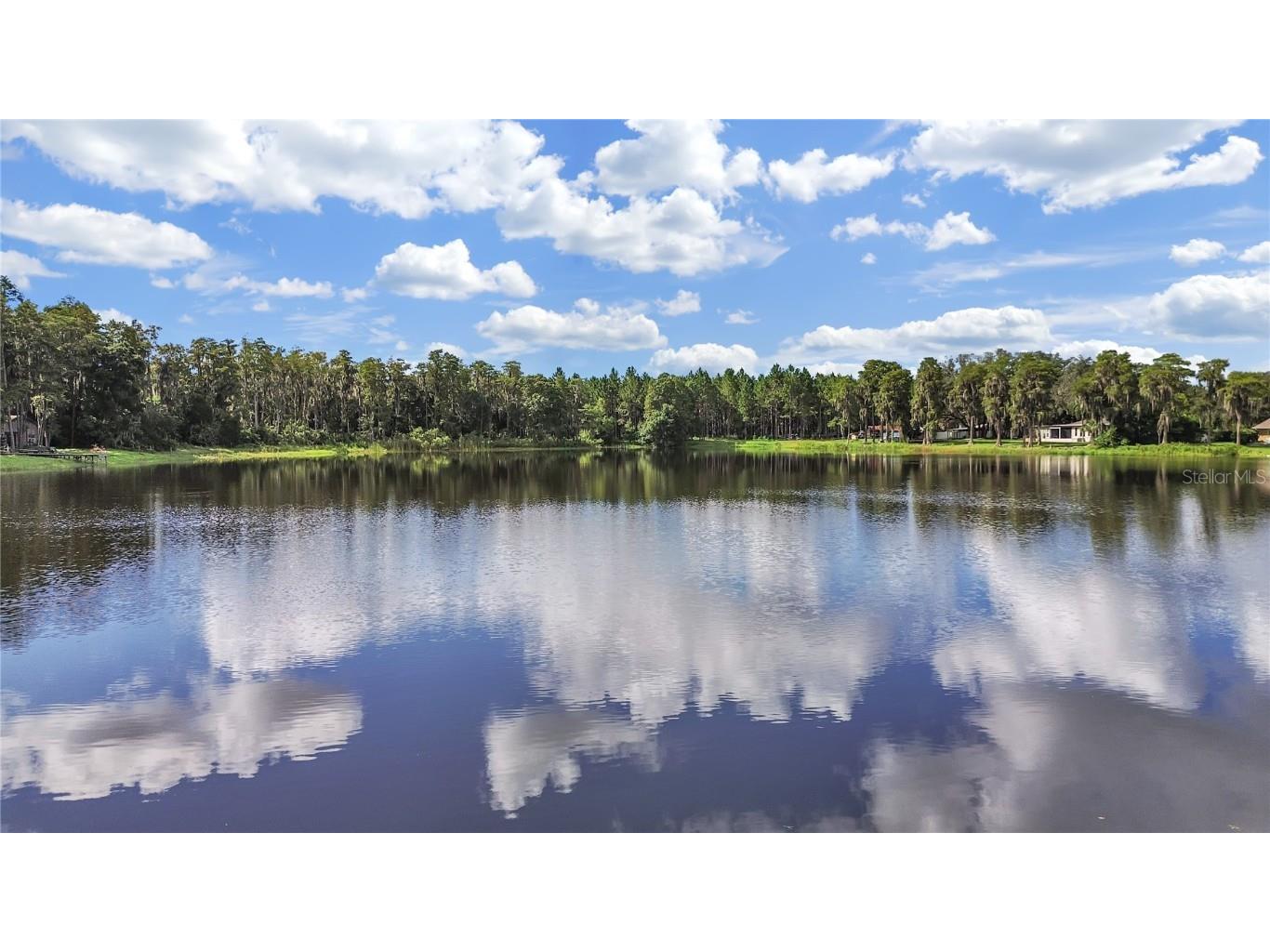 18117 Boy Scout Road Odessa FL 33556 TB8345360 image3