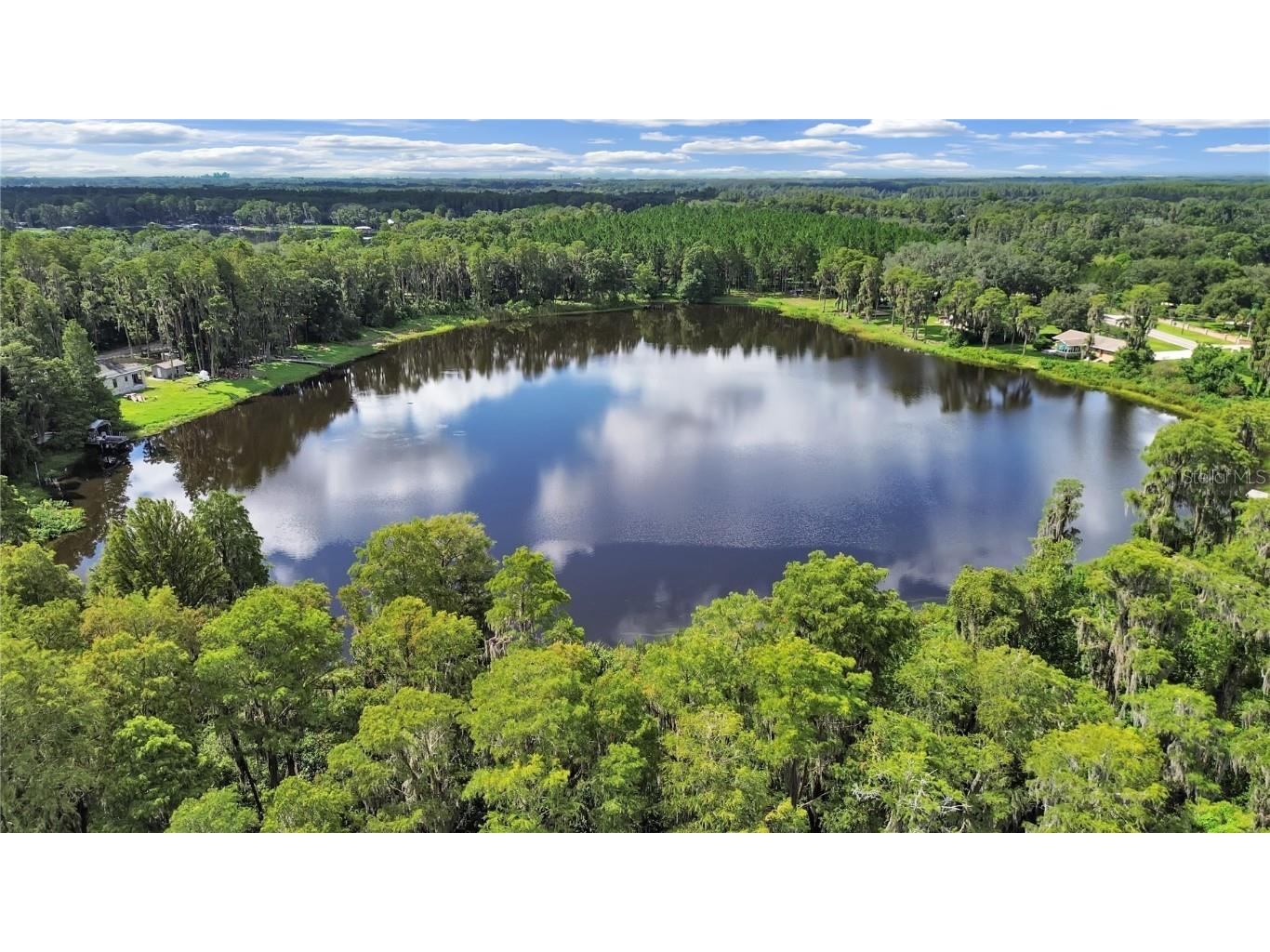 18117 Boy Scout Road Odessa FL 33556 TB8345360 image4