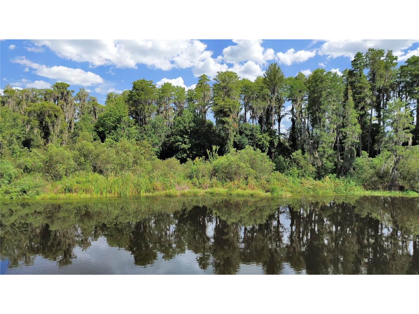 18117 Boy Scout Road Odessa FL 33556 TB8345360 image5