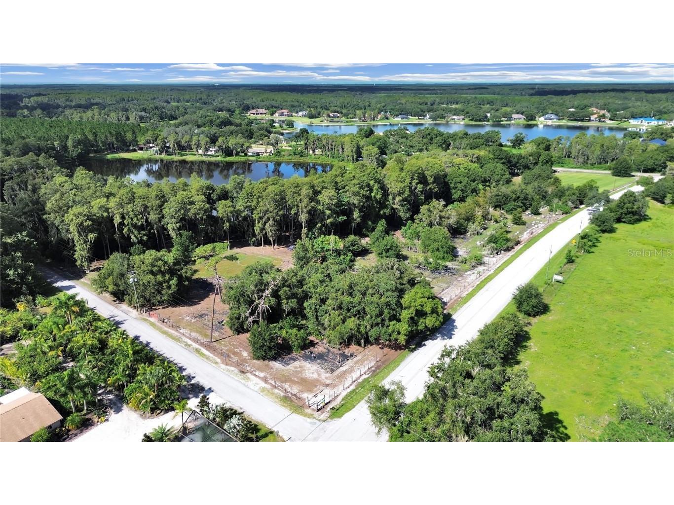 18117 Boy Scout Road Odessa FL 33556 TB8345360 image6