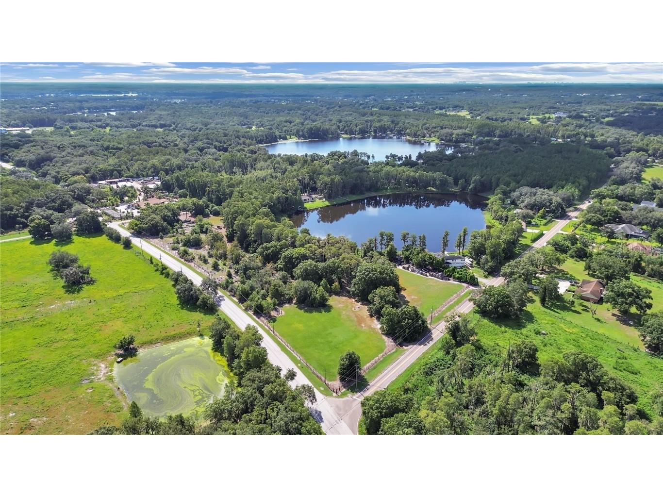 18117 Boy Scout Road Odessa FL 33556 TB8345360 image8