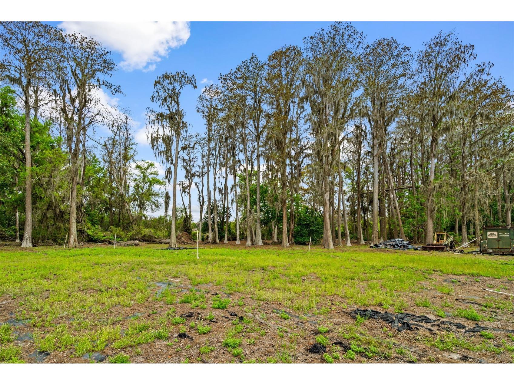 18117 Boy Scout Road Odessa FL 33556 - LAKE JACKSON TB8485194 image11