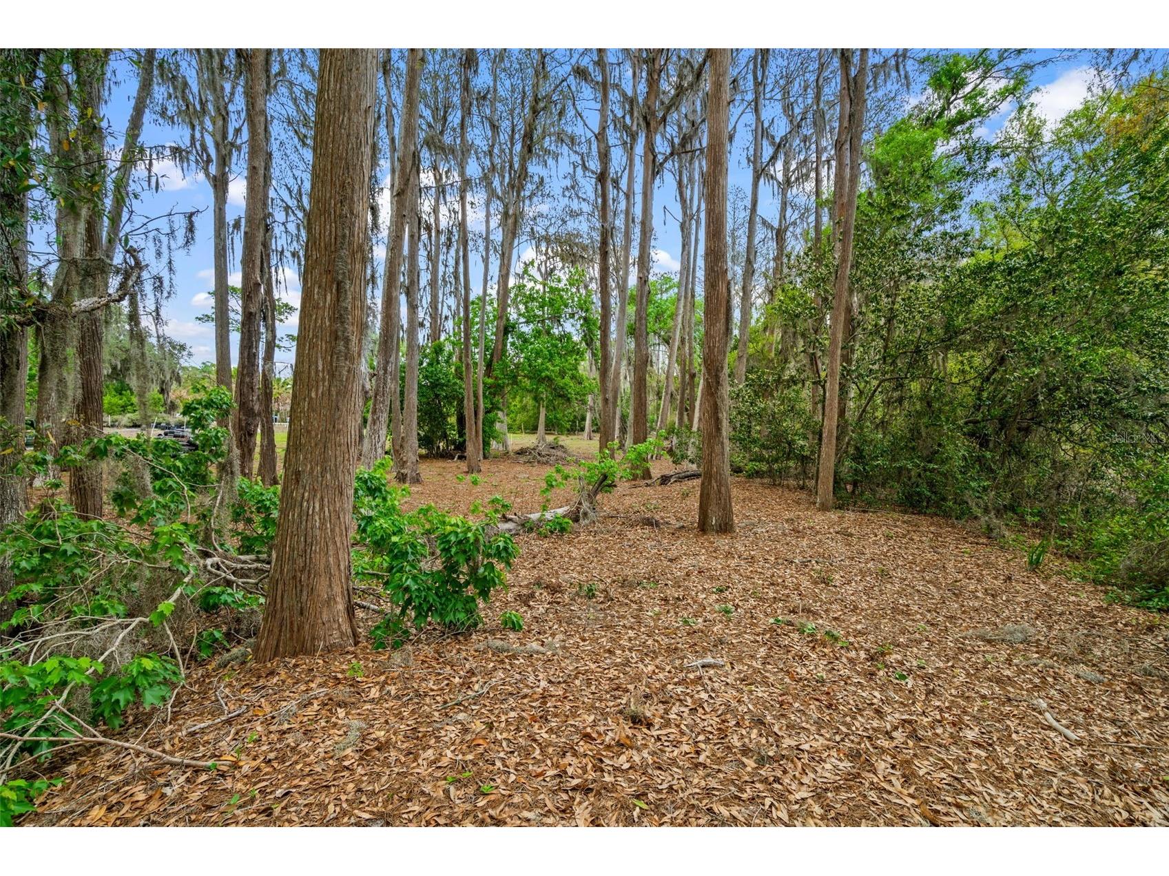 18117 Boy Scout Road Odessa FL 33556 - LAKE JACKSON TB8485194 image12