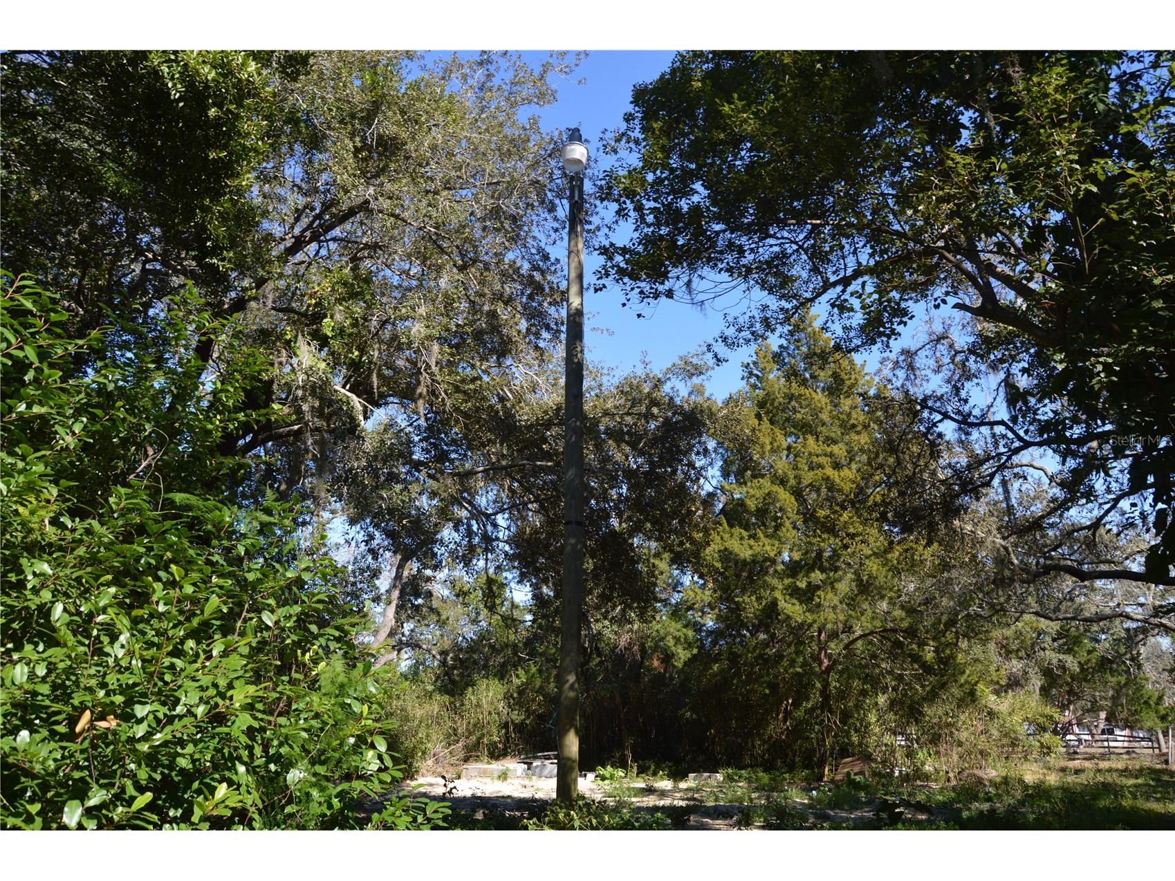 18117 Branch Road Hudson FL 34667 W7882500 image10