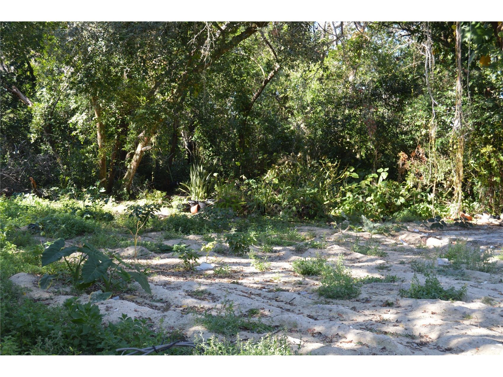 18117 Branch Road Hudson FL 34667 W7882500 image11