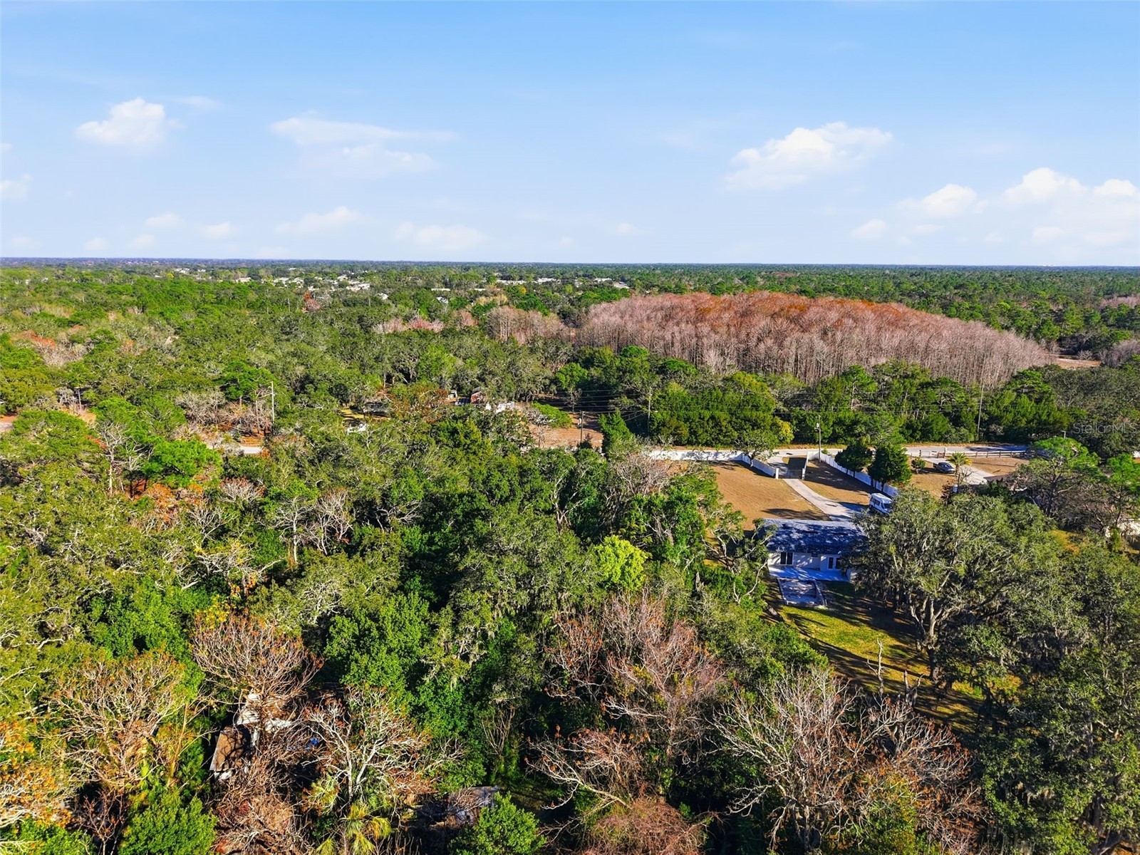 18117 Branch Road Hudson FL 34667 W7882500 image15