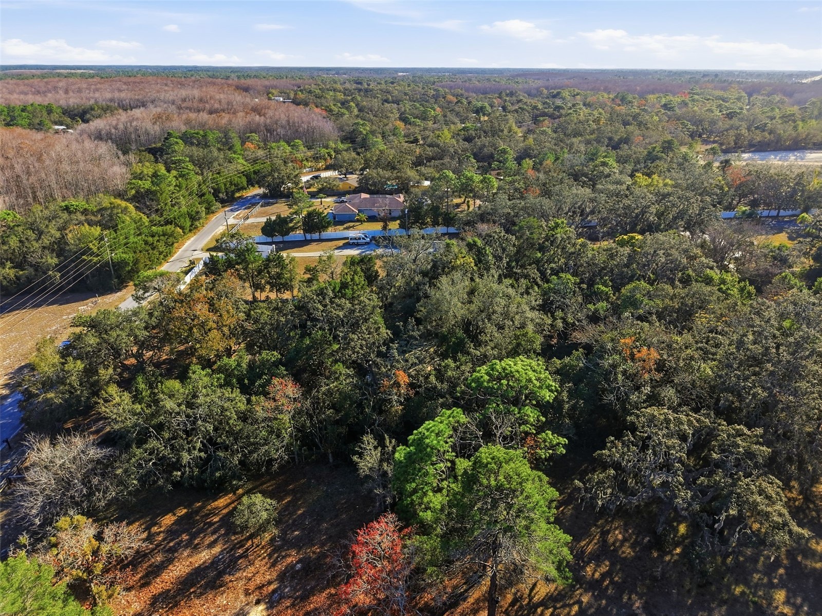 18117 Branch Road Hudson FL 34667 W7882500 image17