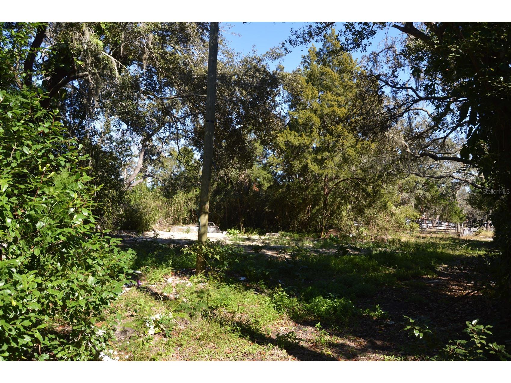 18117 Branch Road Hudson FL 34667 W7882500 image18