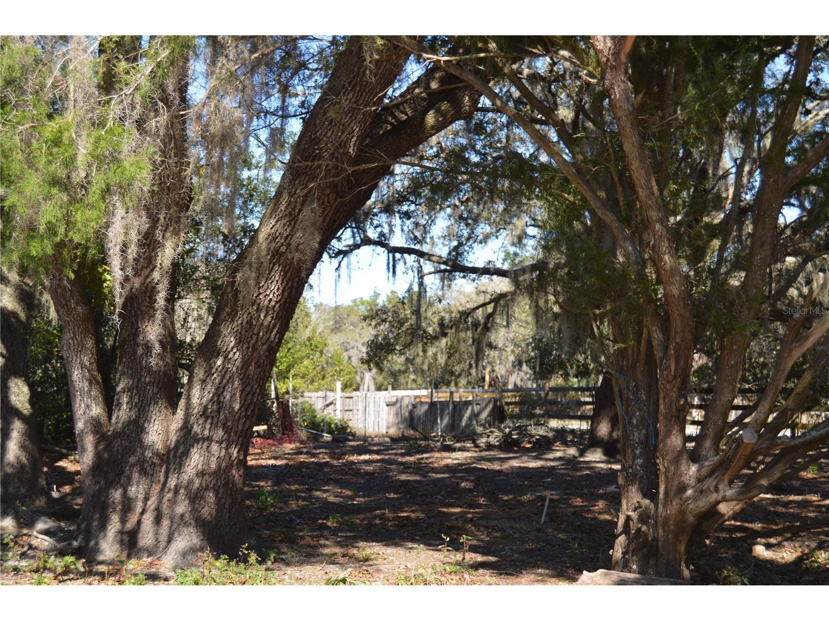 18117 Branch Road Hudson FL 34667 W7882500 image19