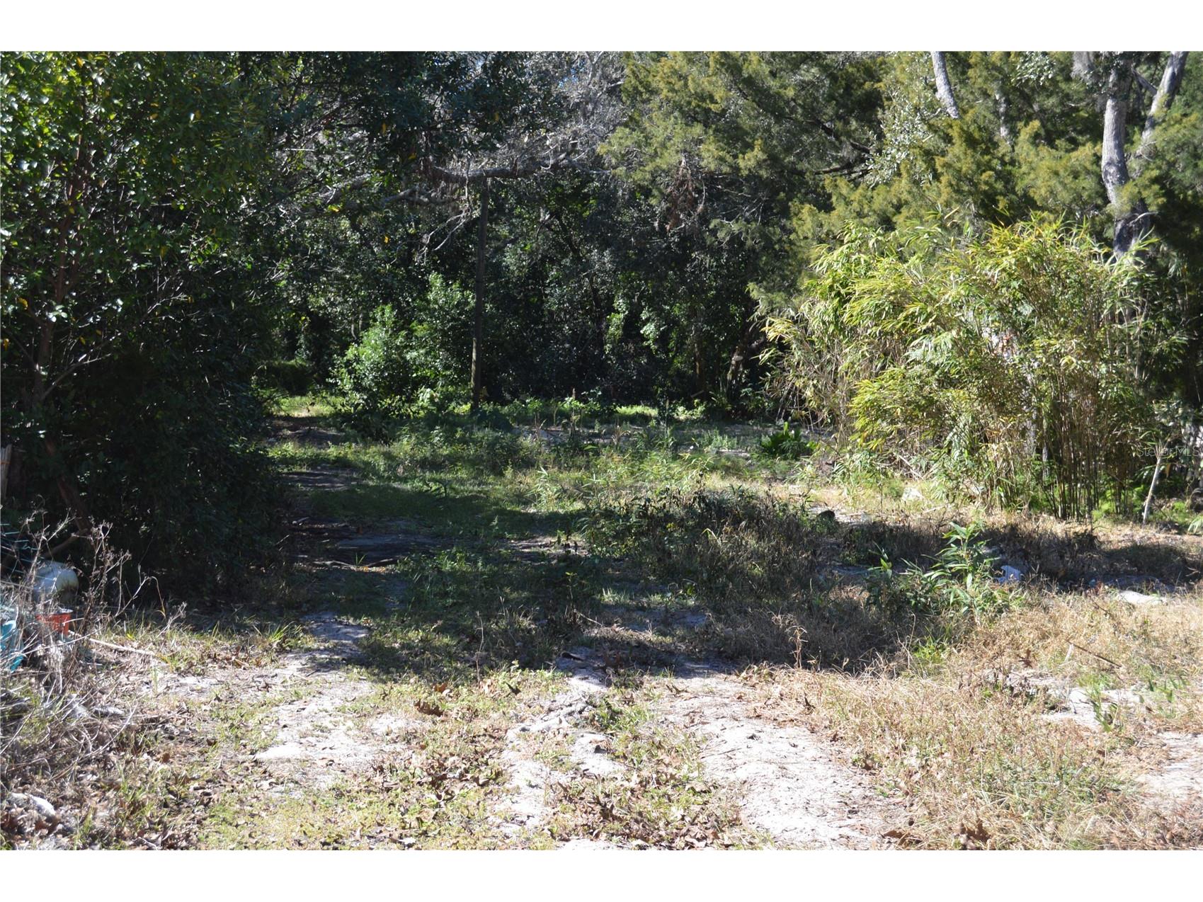 18117 Branch Road Hudson FL 34667 W7882500 image20