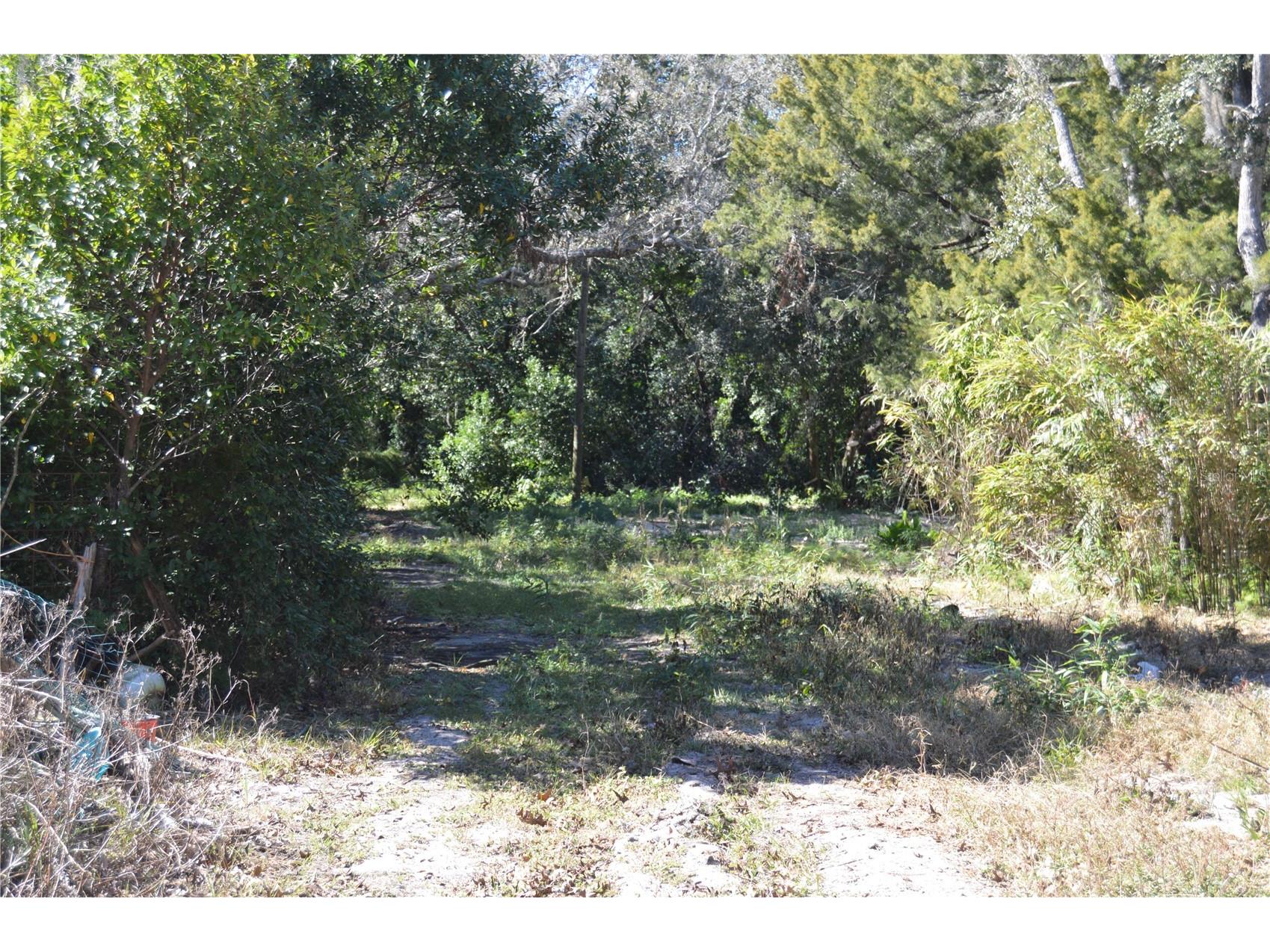 18117 Branch Road Hudson FL 34667 W7882500 image21
