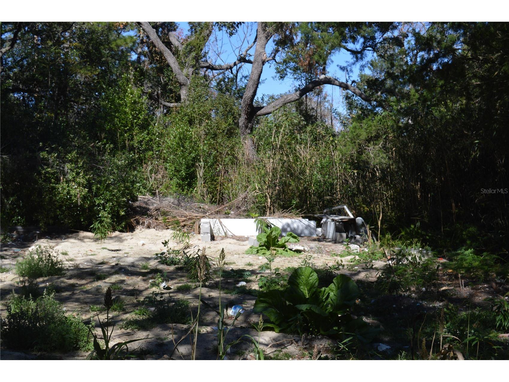 18117 Branch Road Hudson FL 34667 W7882500 image5