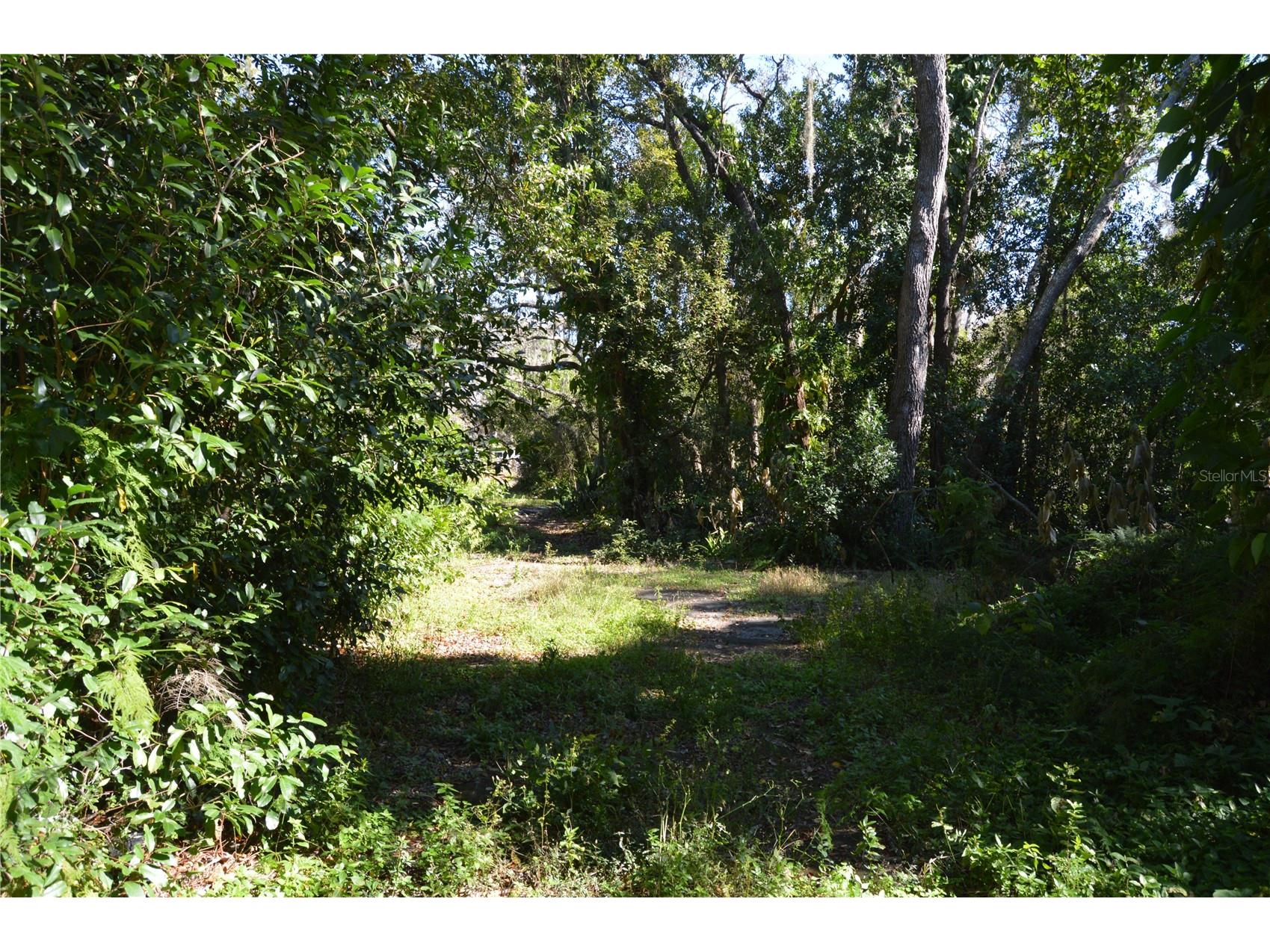 18117 Branch Road Hudson FL 34667 W7882500 image6