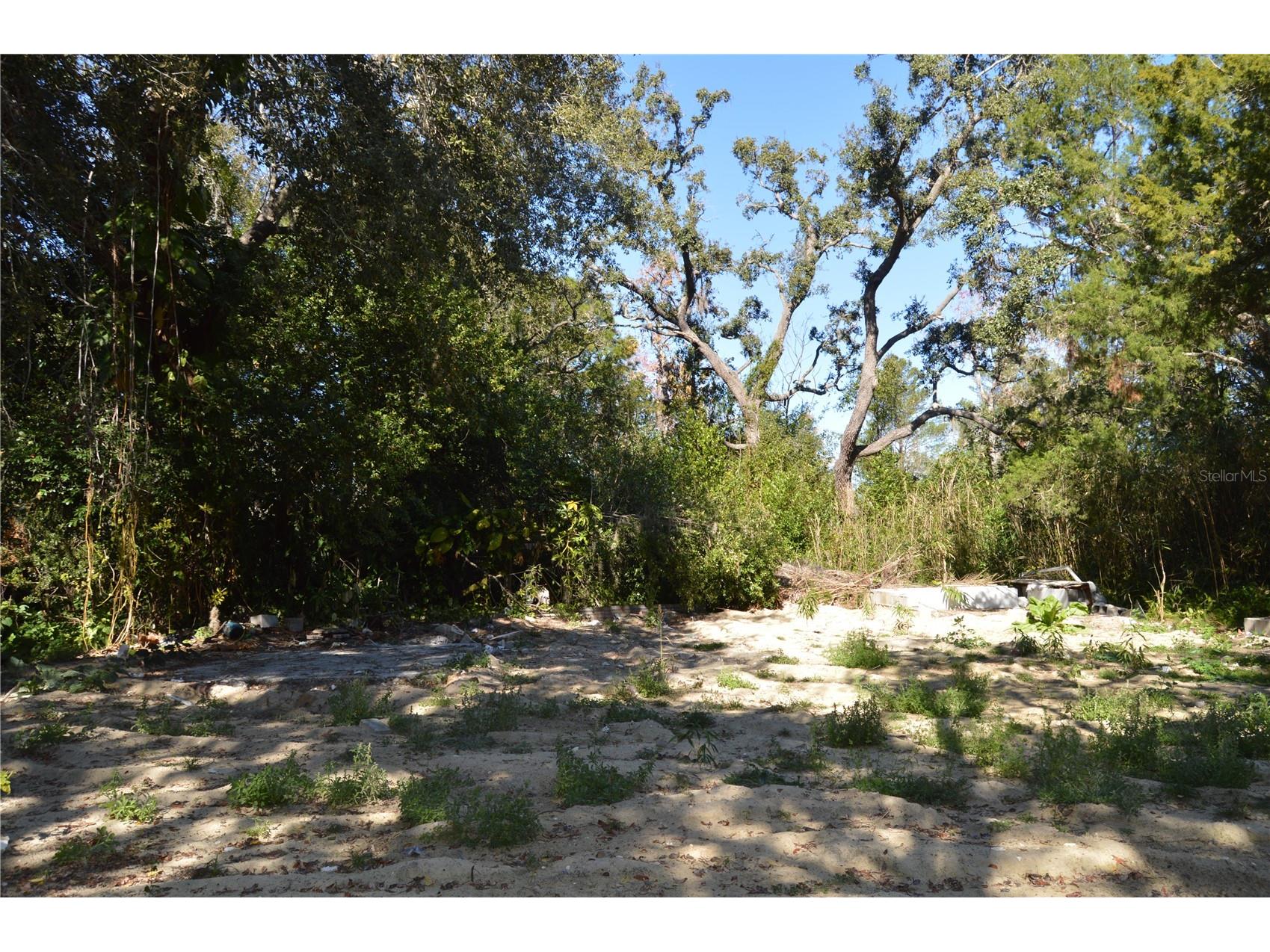 18117 Branch Road Hudson FL 34667 W7882500 image7