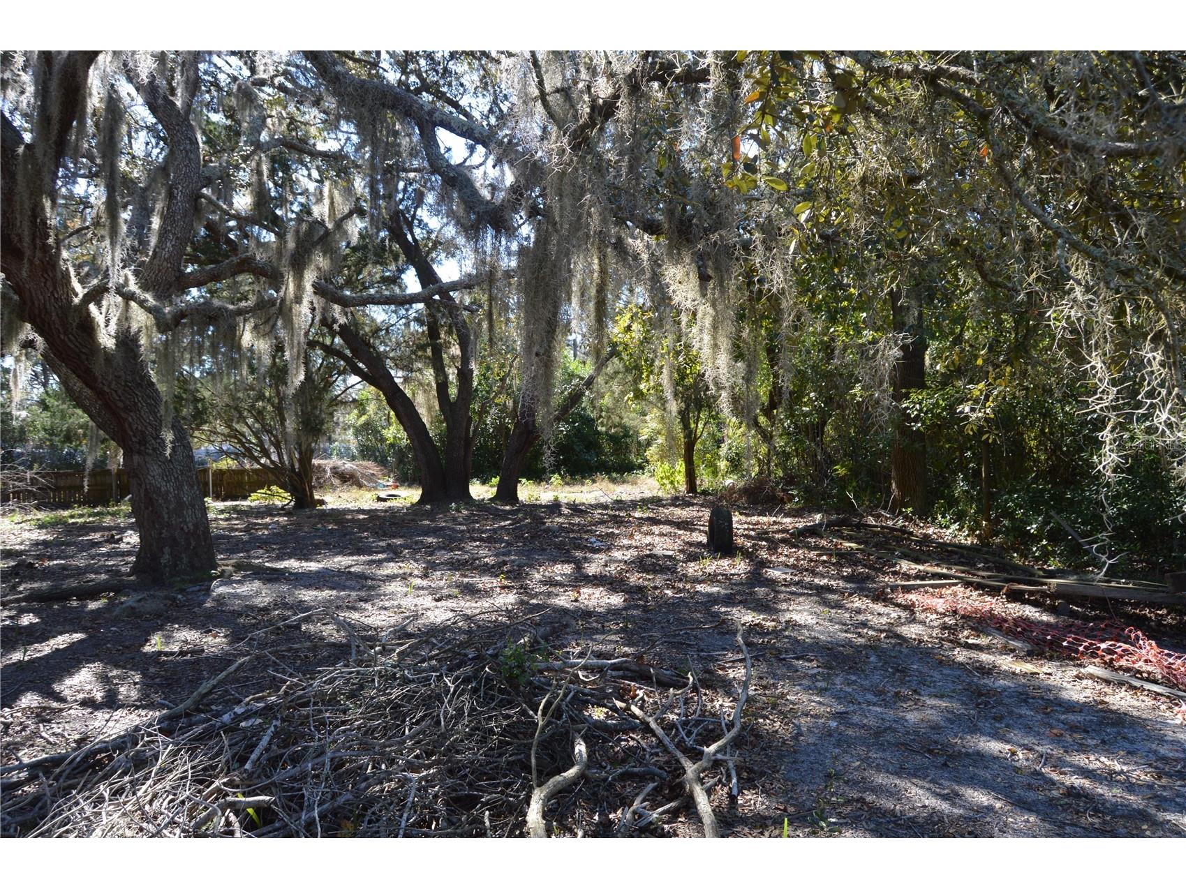18117 Branch Road Hudson FL 34667 W7882500 image9