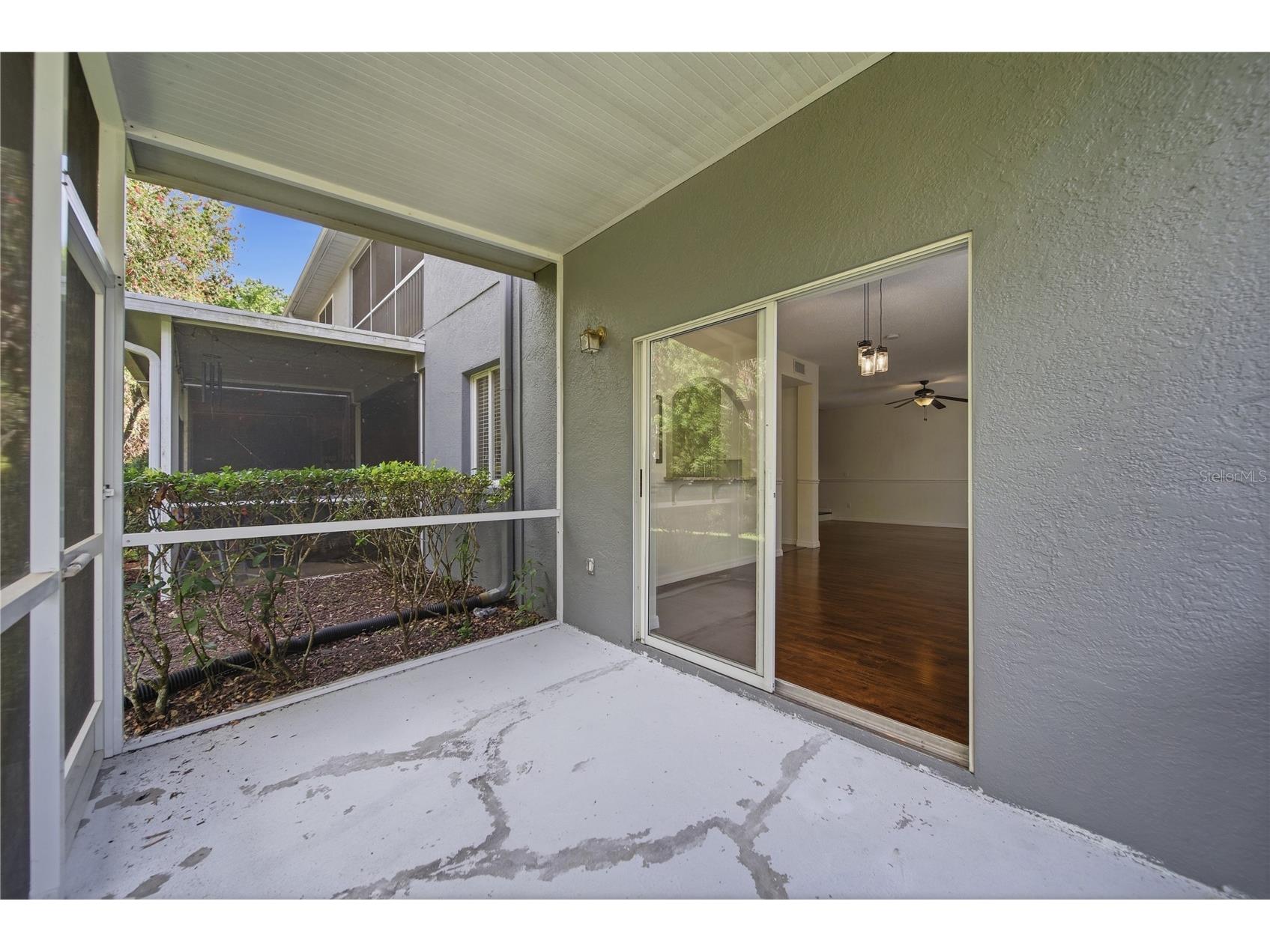 18117 Paradise Point Drive Tampa FL 33647 TB8503202 image22