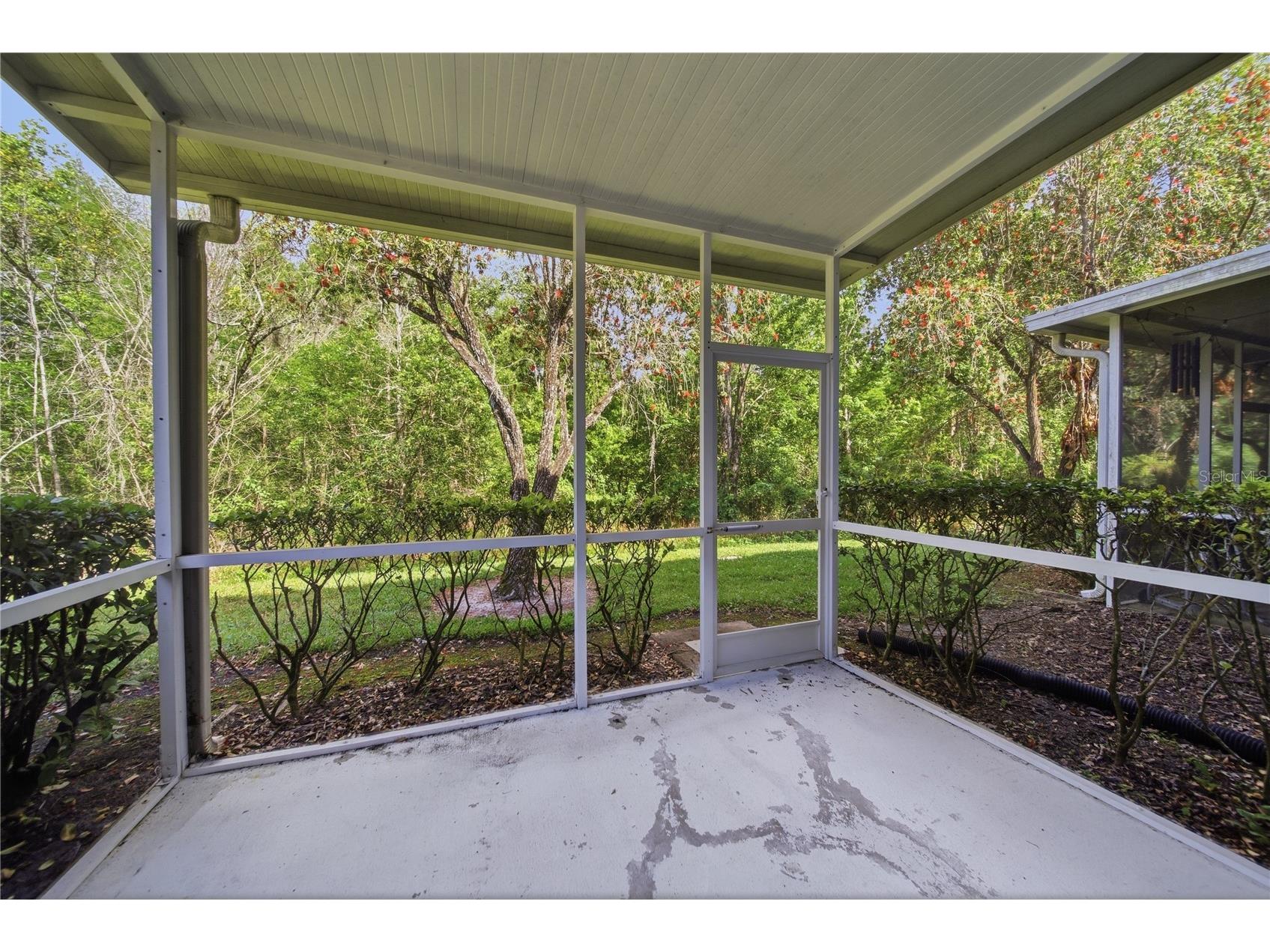 18117 Paradise Point Drive Tampa FL 33647 TB8503202 image23
