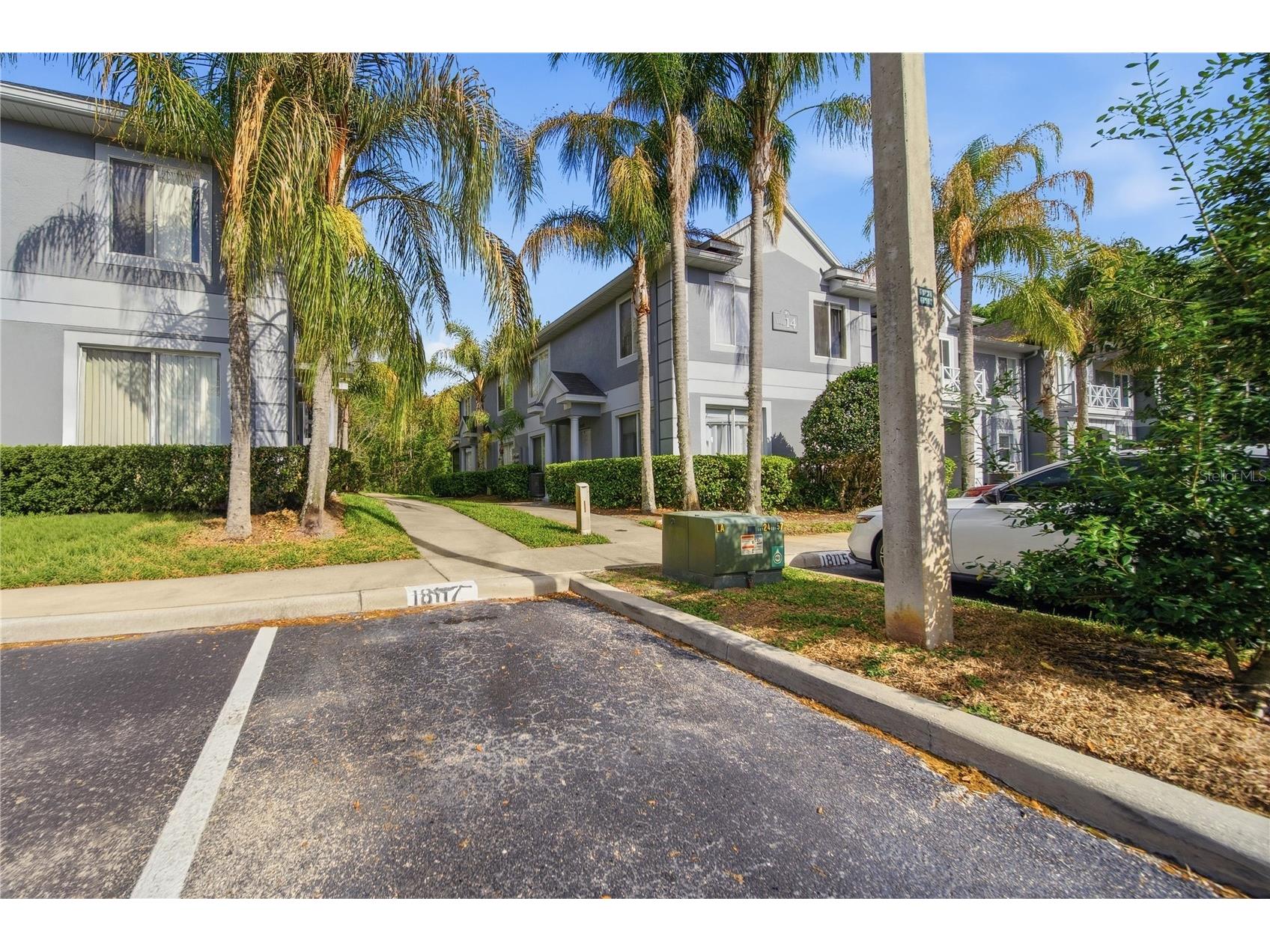18117 Paradise Point Drive Tampa FL 33647 TB8503202 image26