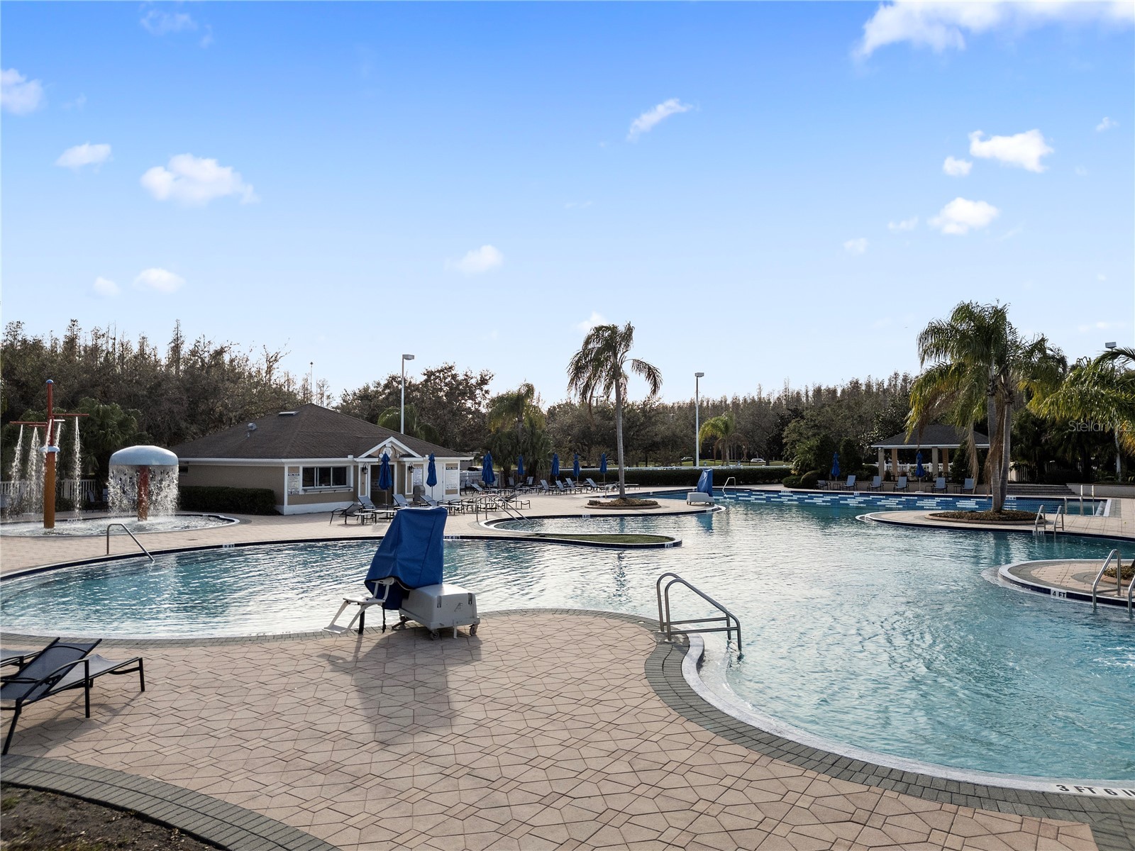 18117 Paradise Point Drive Tampa FL 33647 TB8503202 image27
