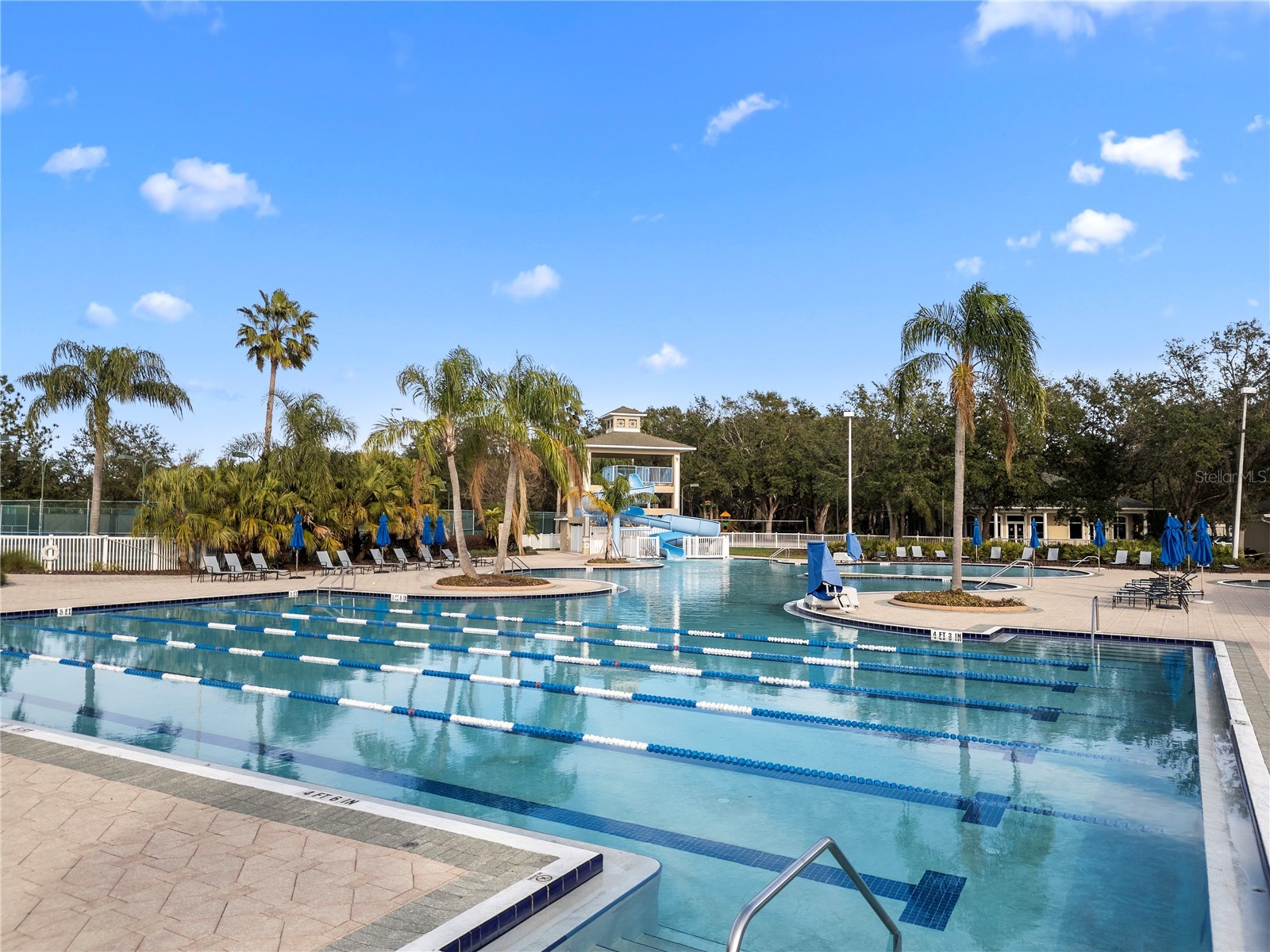 18117 Paradise Point Drive Tampa FL 33647 TB8503202 image28