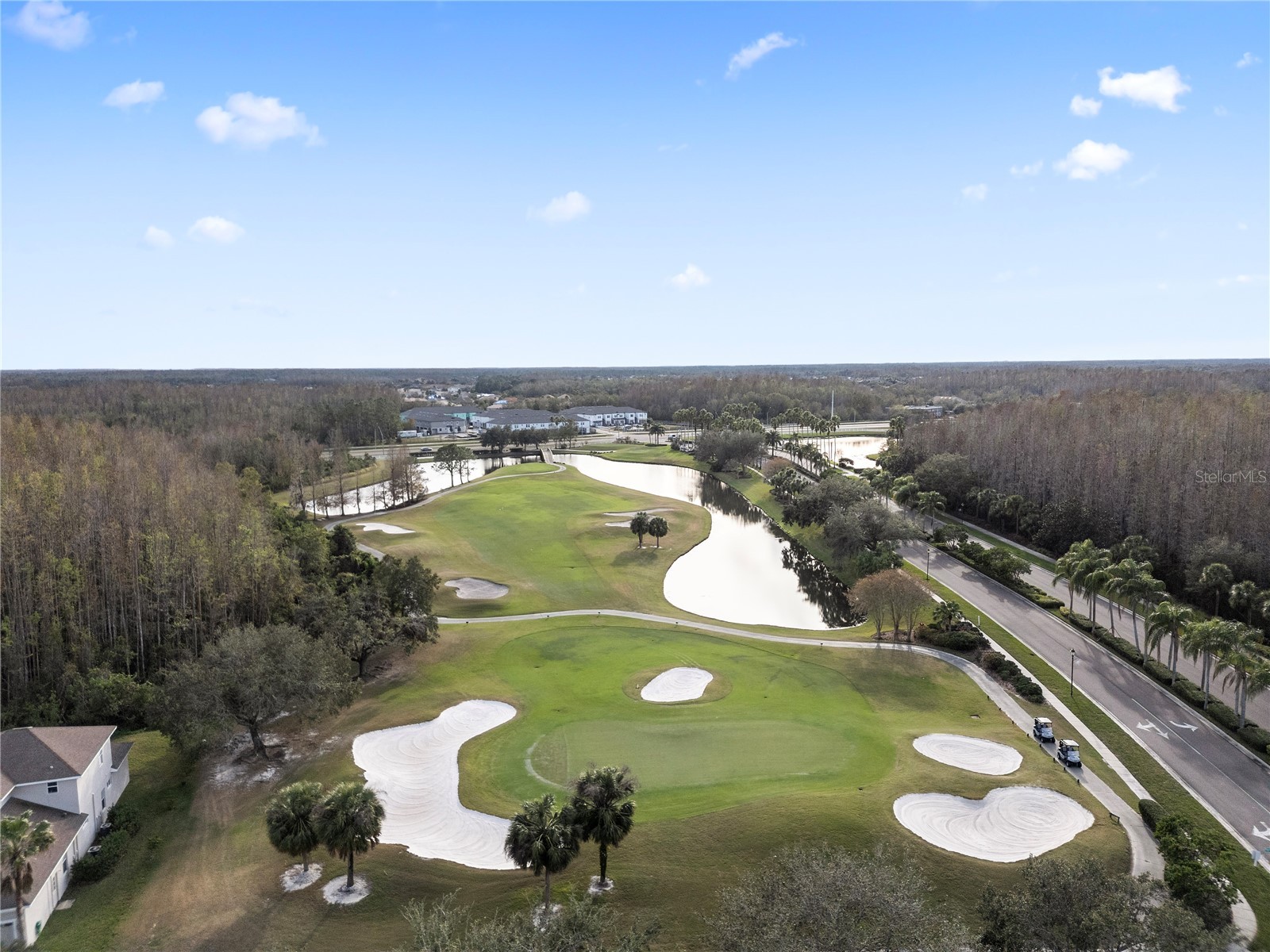 18117 Paradise Point Drive Tampa FL 33647 TB8503202 image30
