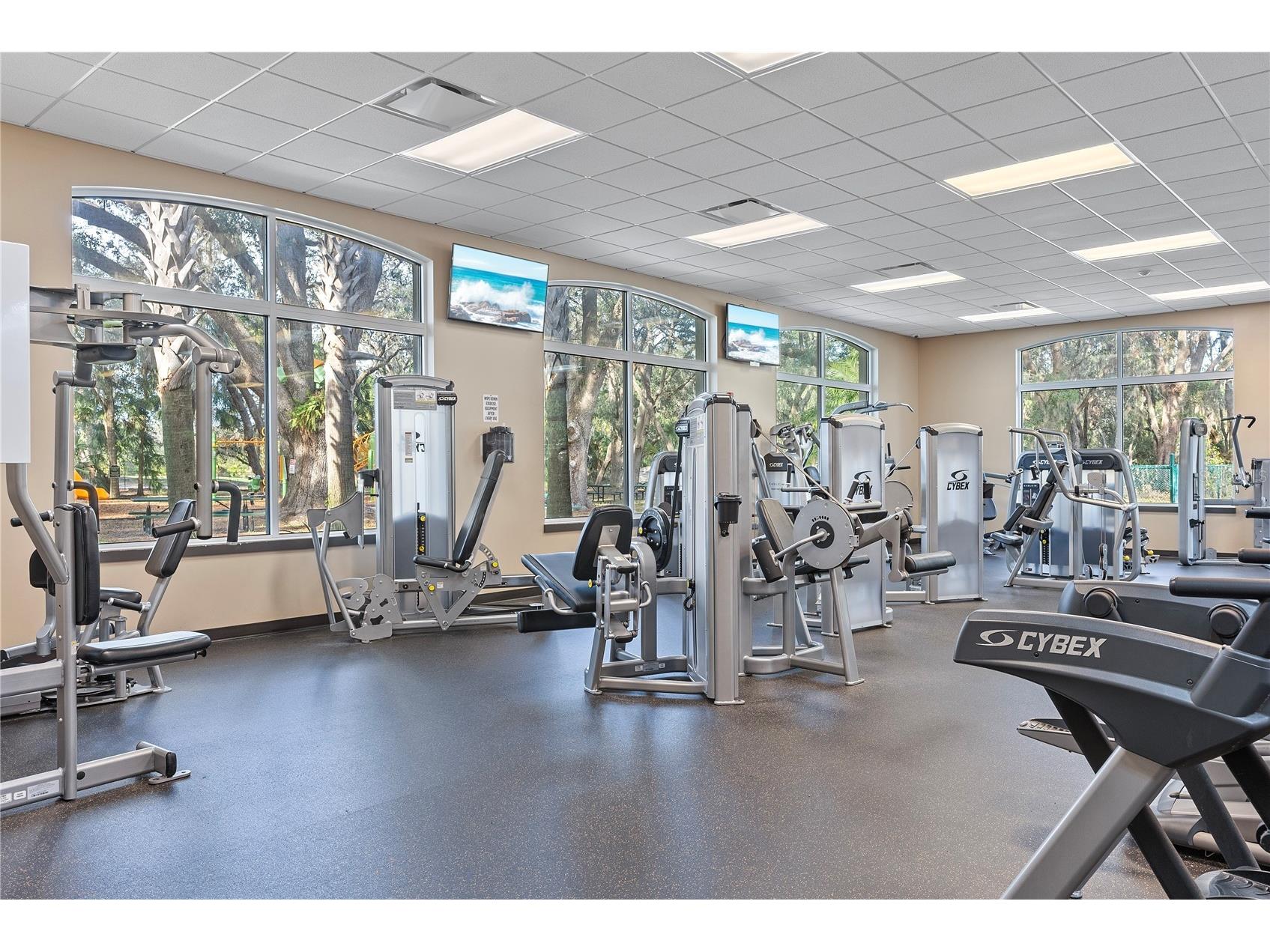 18117 Paradise Point Drive Tampa FL 33647 TB8503202 image37