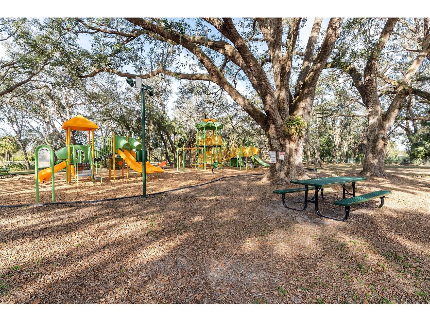 18117 Paradise Point Drive Tampa FL 33647 TB8503202 image38