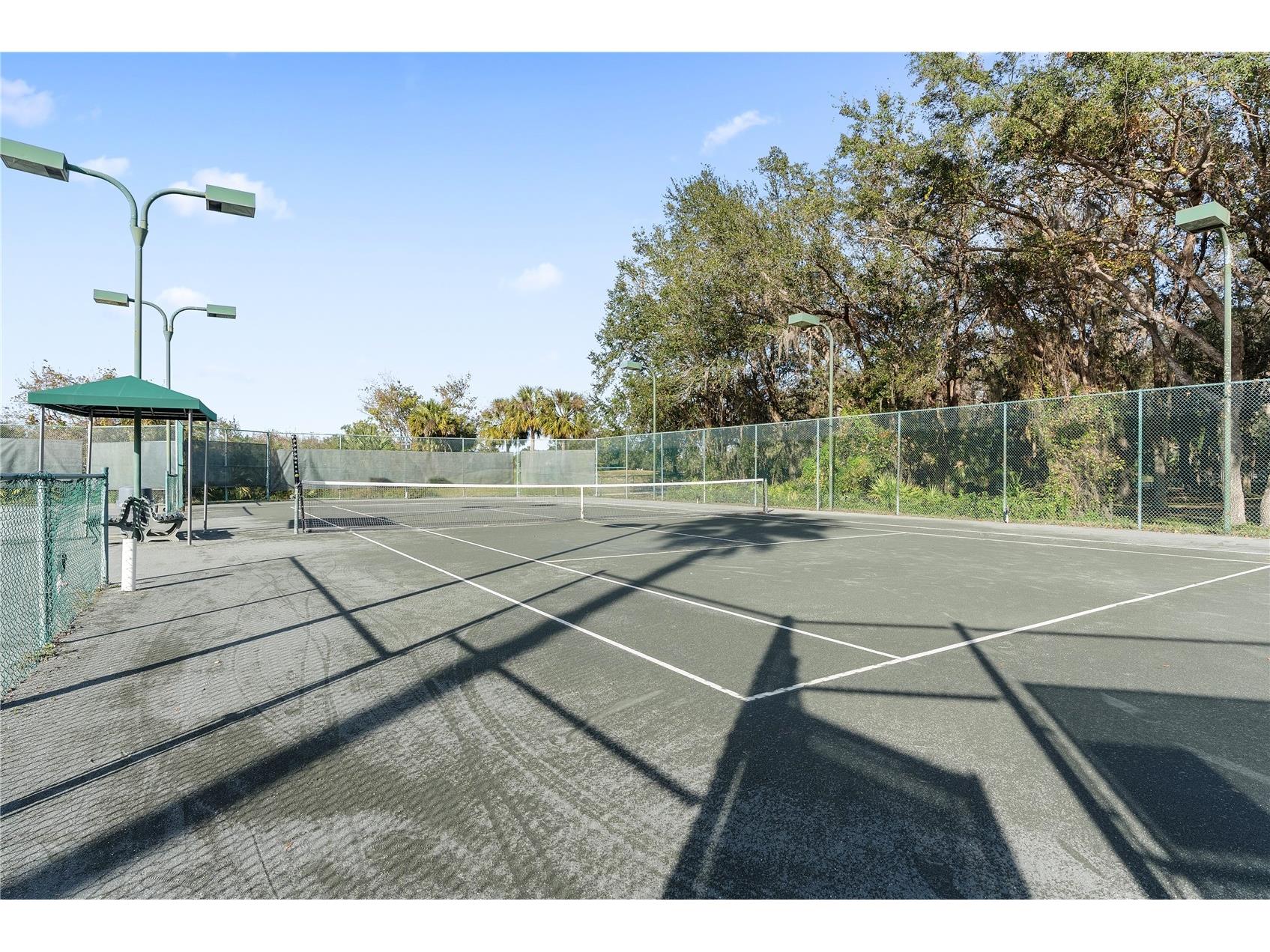 18117 Paradise Point Drive Tampa FL 33647 TB8503202 image39