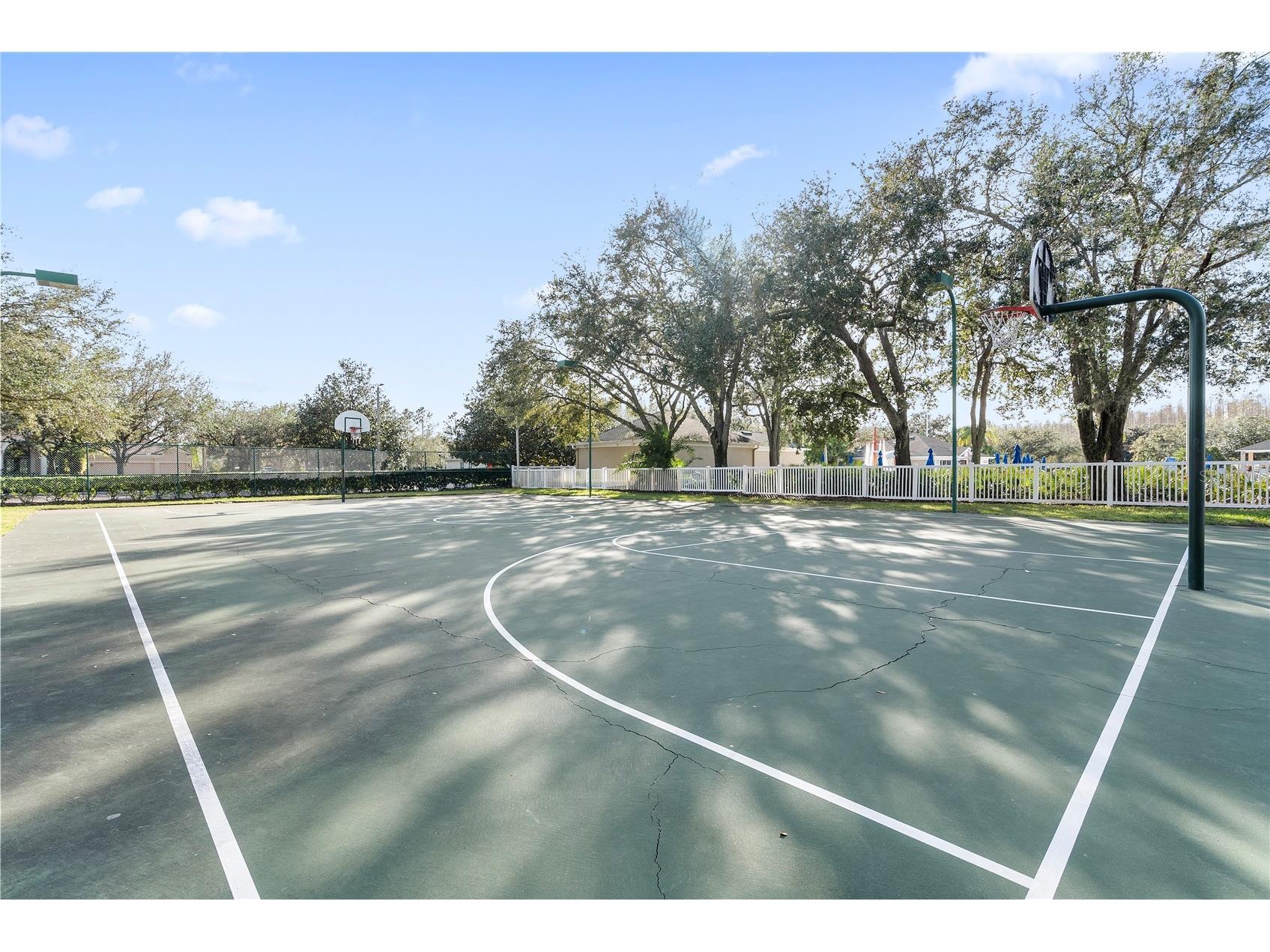 18117 Paradise Point Drive Tampa FL 33647 TB8503202 image41
