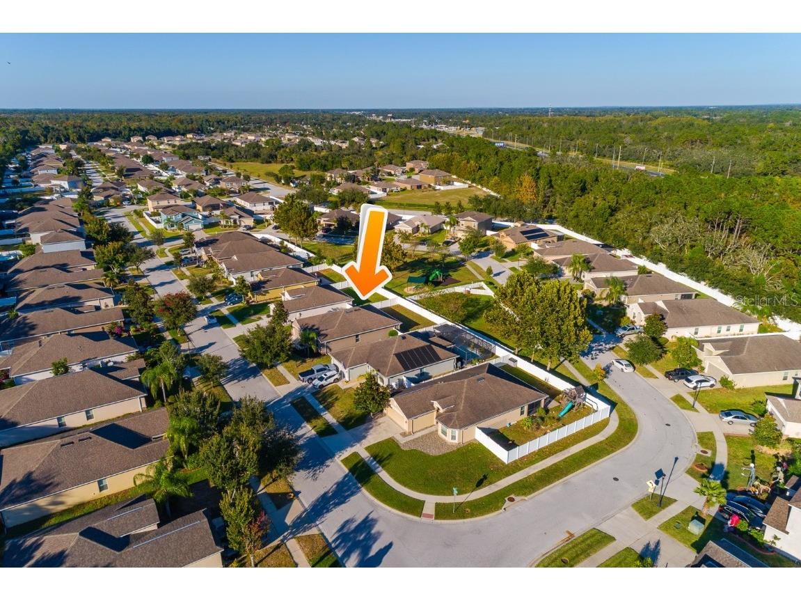 18118 Arbor Crest Drive Hudson FL 34667 TB8437598 image33