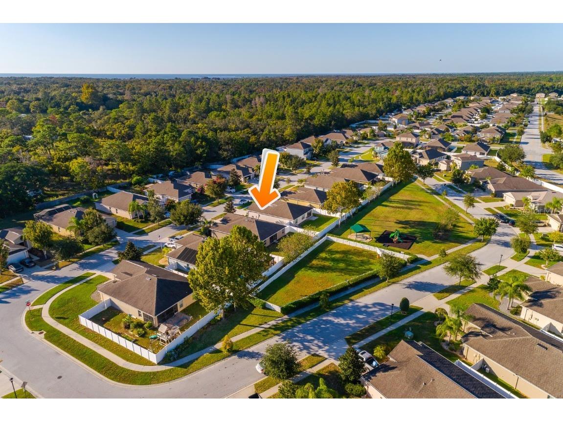 18118 Arbor Crest Drive Hudson FL 34667 TB8437598 image34