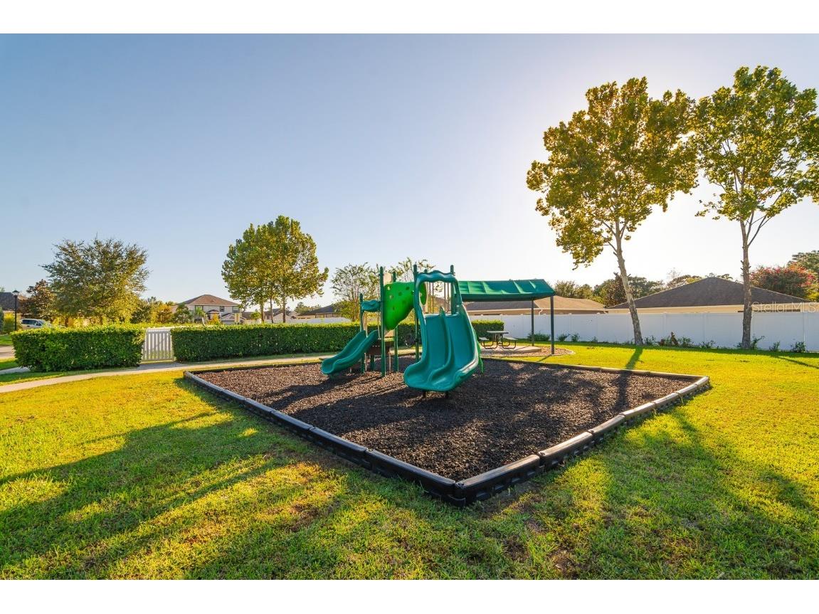 18118 Arbor Crest Drive Hudson FL 34667 TB8437598 image39