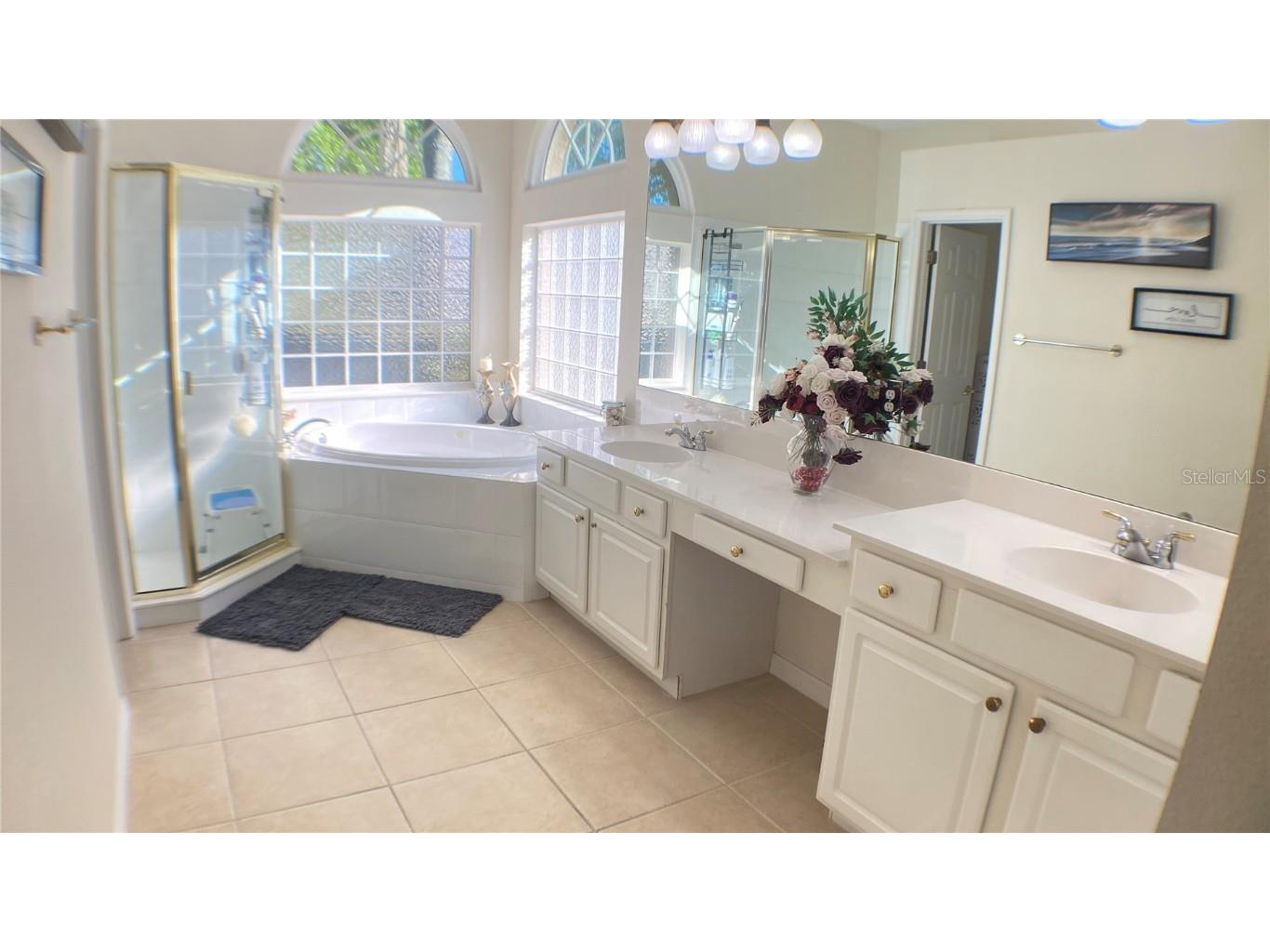 18118 Diamond Cove Court Tampa FL 33647 TB8417668 image14