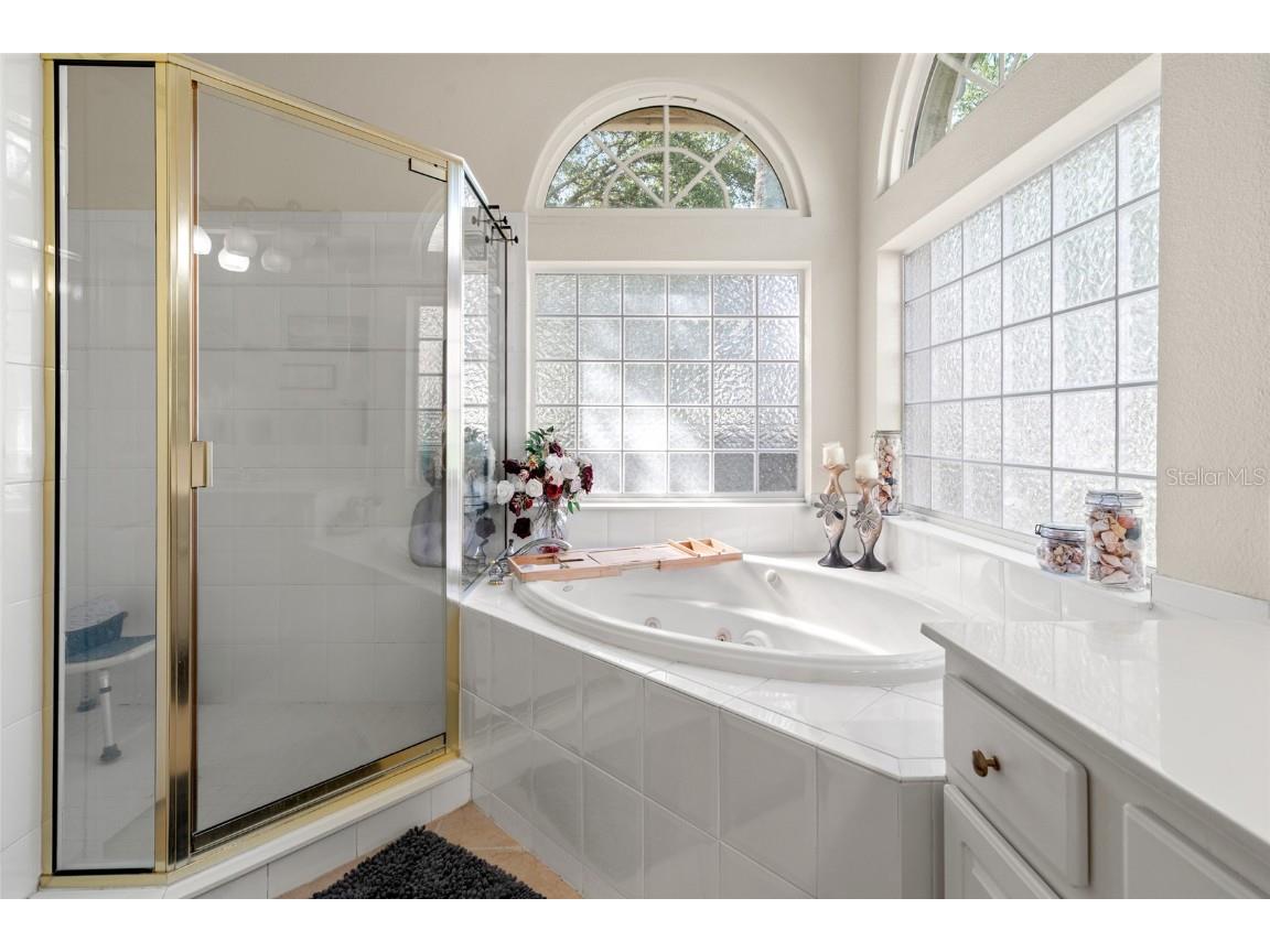 18118 Diamond Cove Court Tampa FL 33647 TB8417668 image16