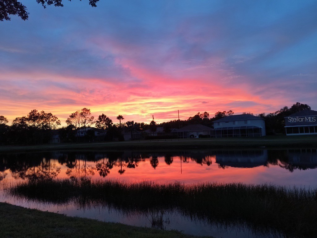 18118 Diamond Cove Court Tampa FL 33647 TB8417668 image37