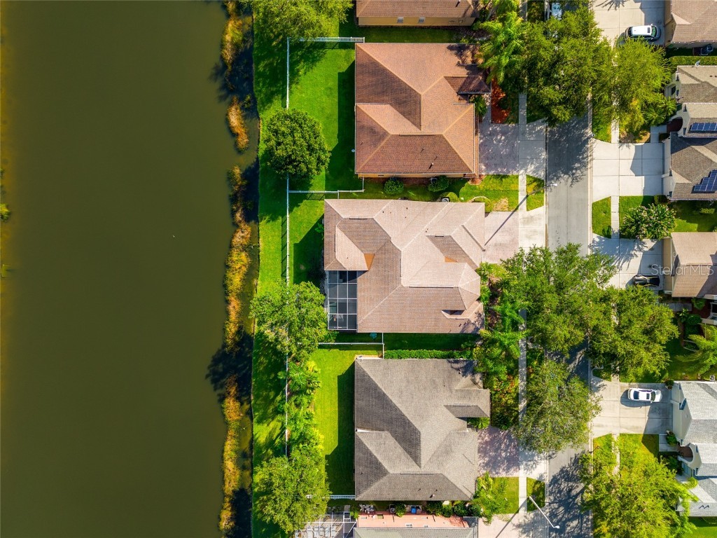 18118 Diamond Cove Court Tampa FL 33647 TB8417668 image41