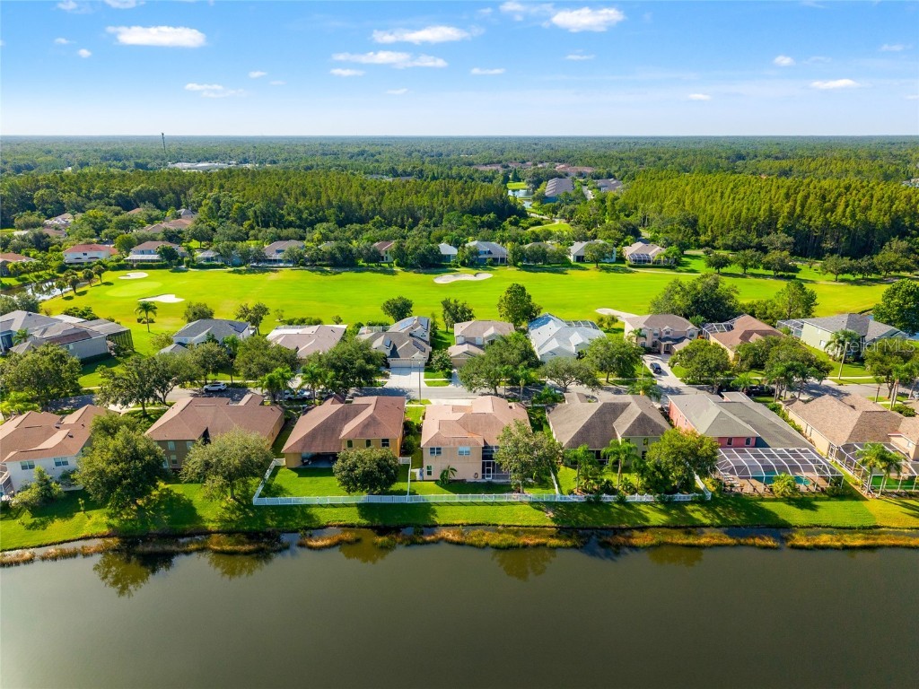 18118 Diamond Cove Court Tampa FL 33647 TB8417668 image42