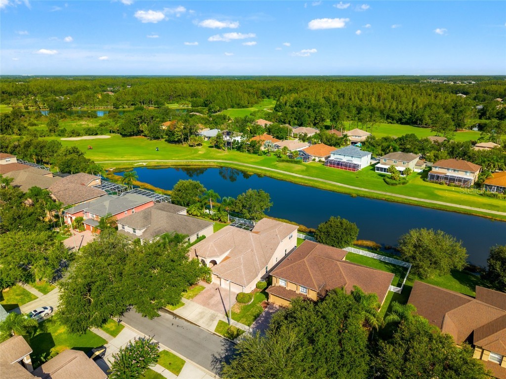 18118 Diamond Cove Court Tampa FL 33647 TB8417668 image44