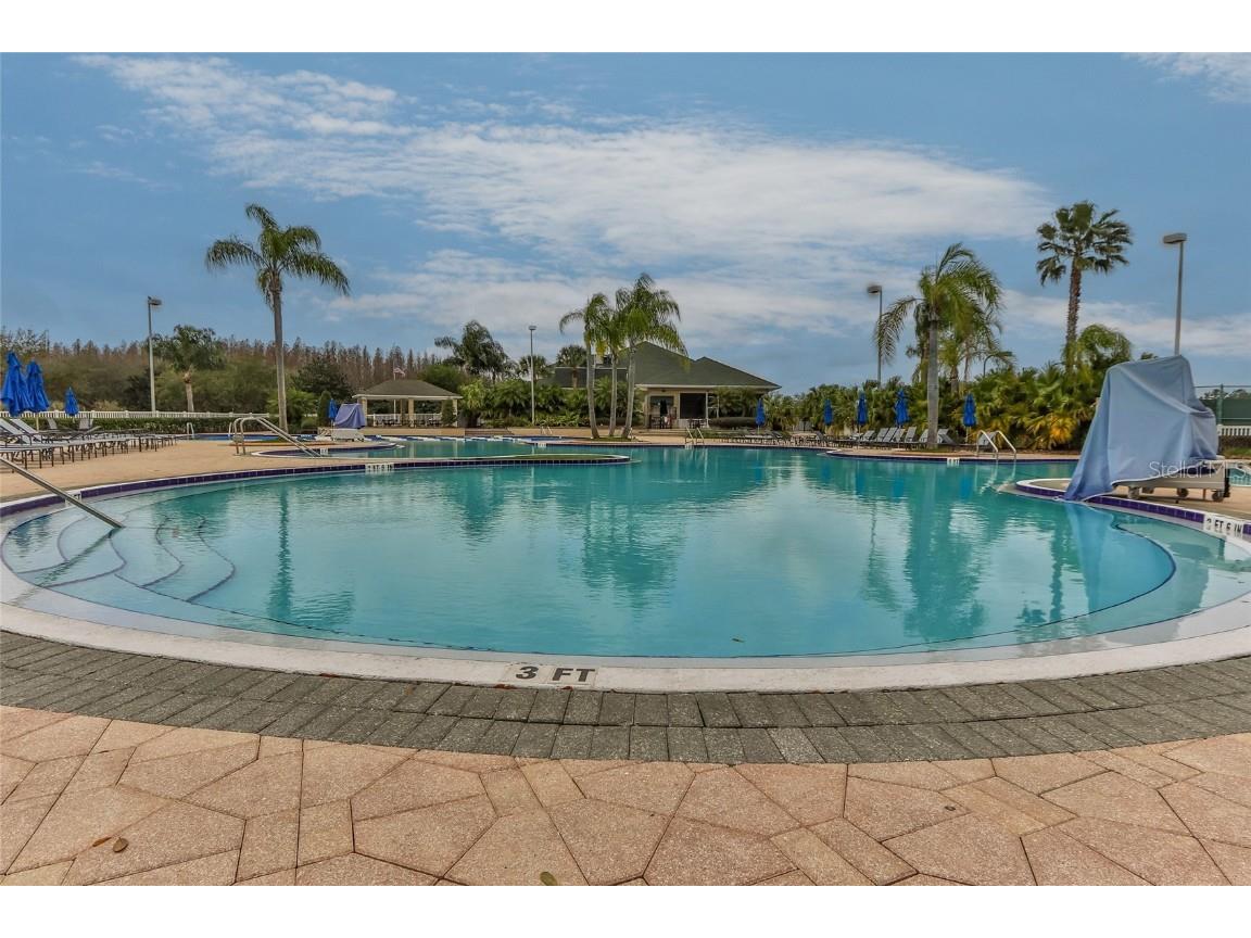 18118 Diamond Cove Court Tampa FL 33647 TB8417668 image52