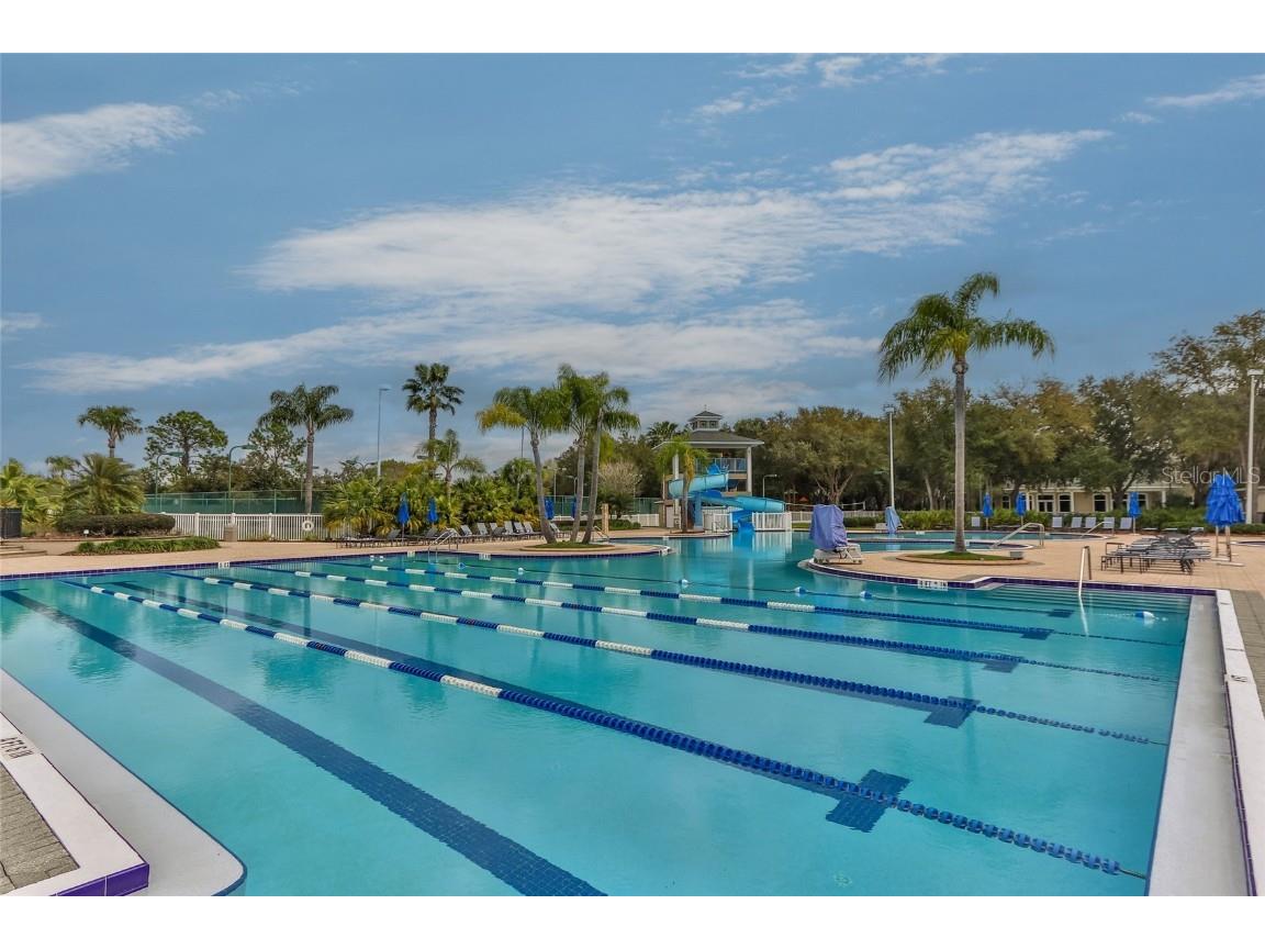 18118 Diamond Cove Court Tampa FL 33647 TB8417668 image59